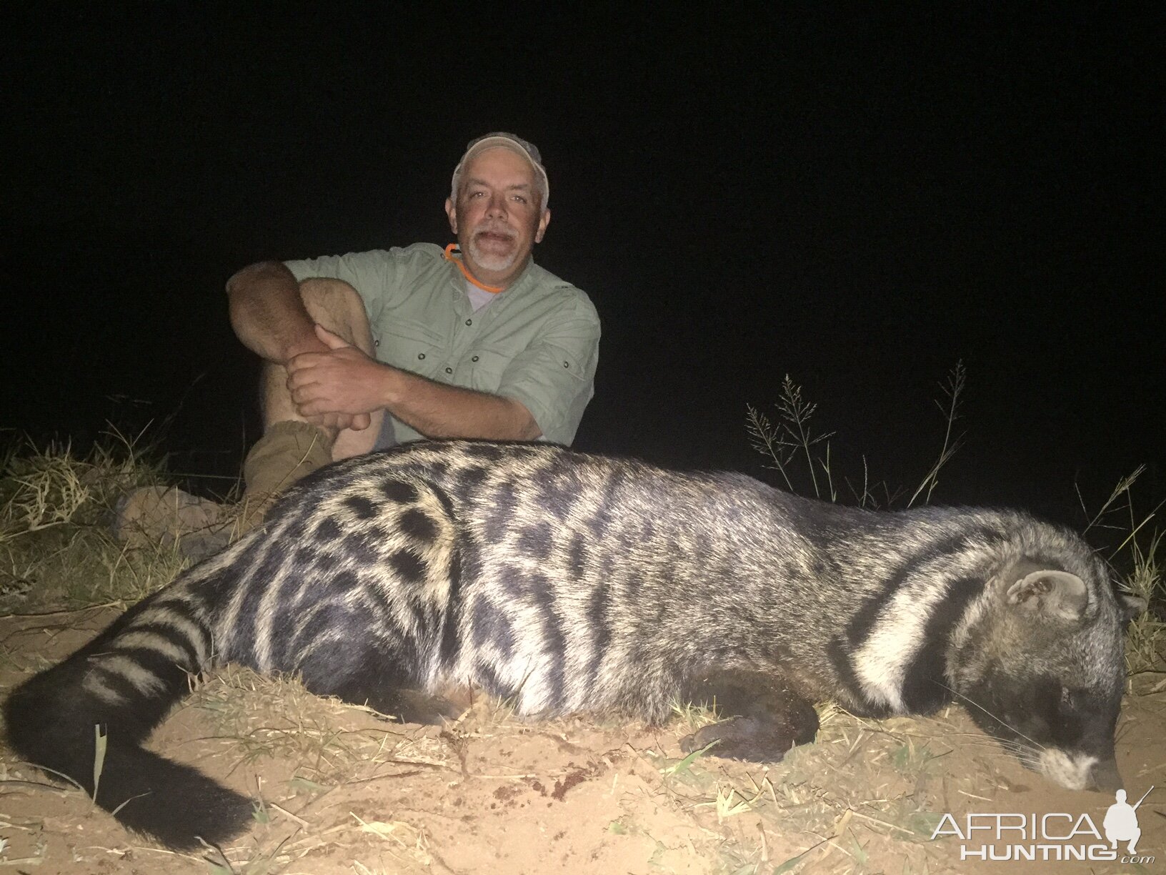 Hunt South Africa African Civet