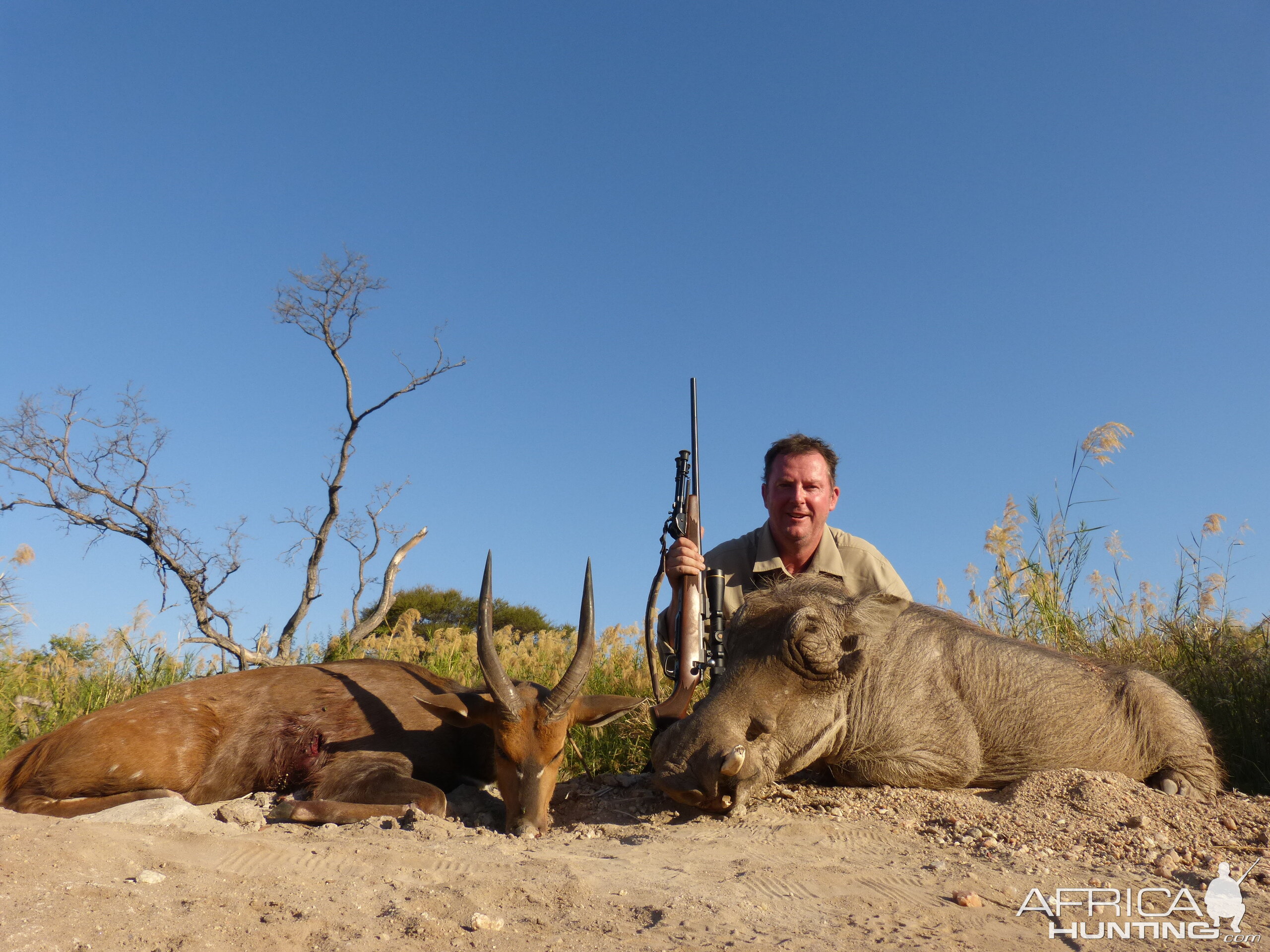 Hunt South Africa Bushbuck & Warthog