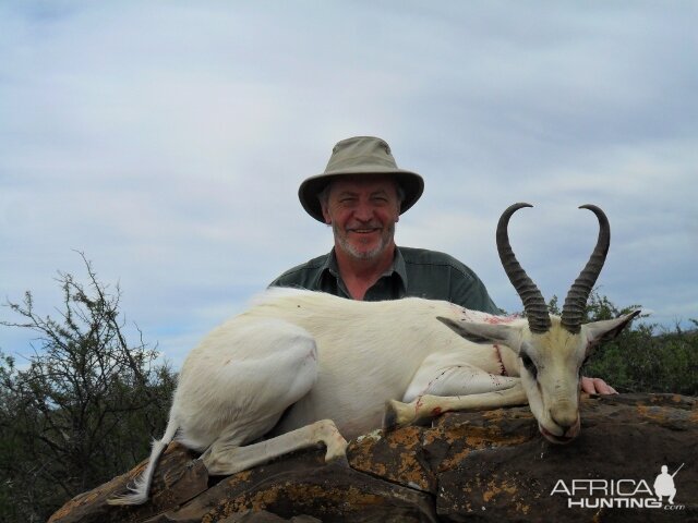 Hunt South Africa White Springbok