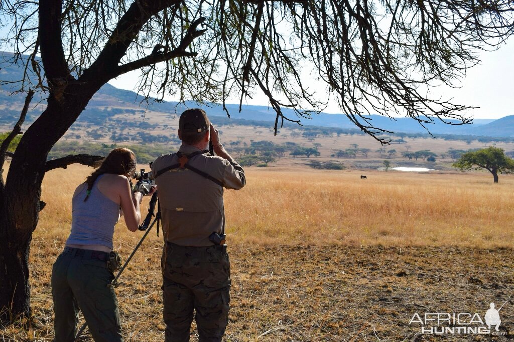 Hunt South Africa with Shooting Stick & Glassing Game