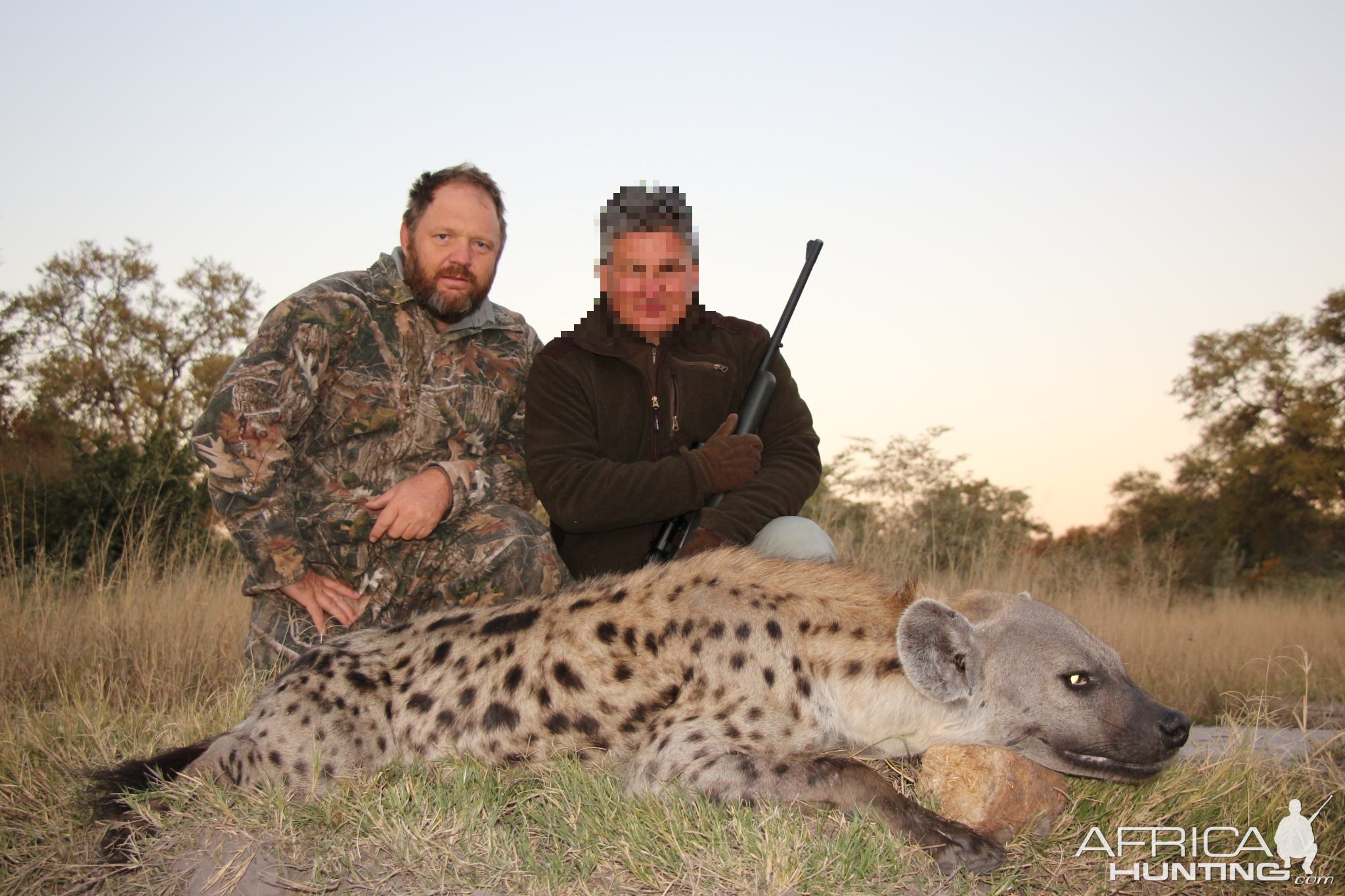 Hunt Spotted Hyena in Namibia