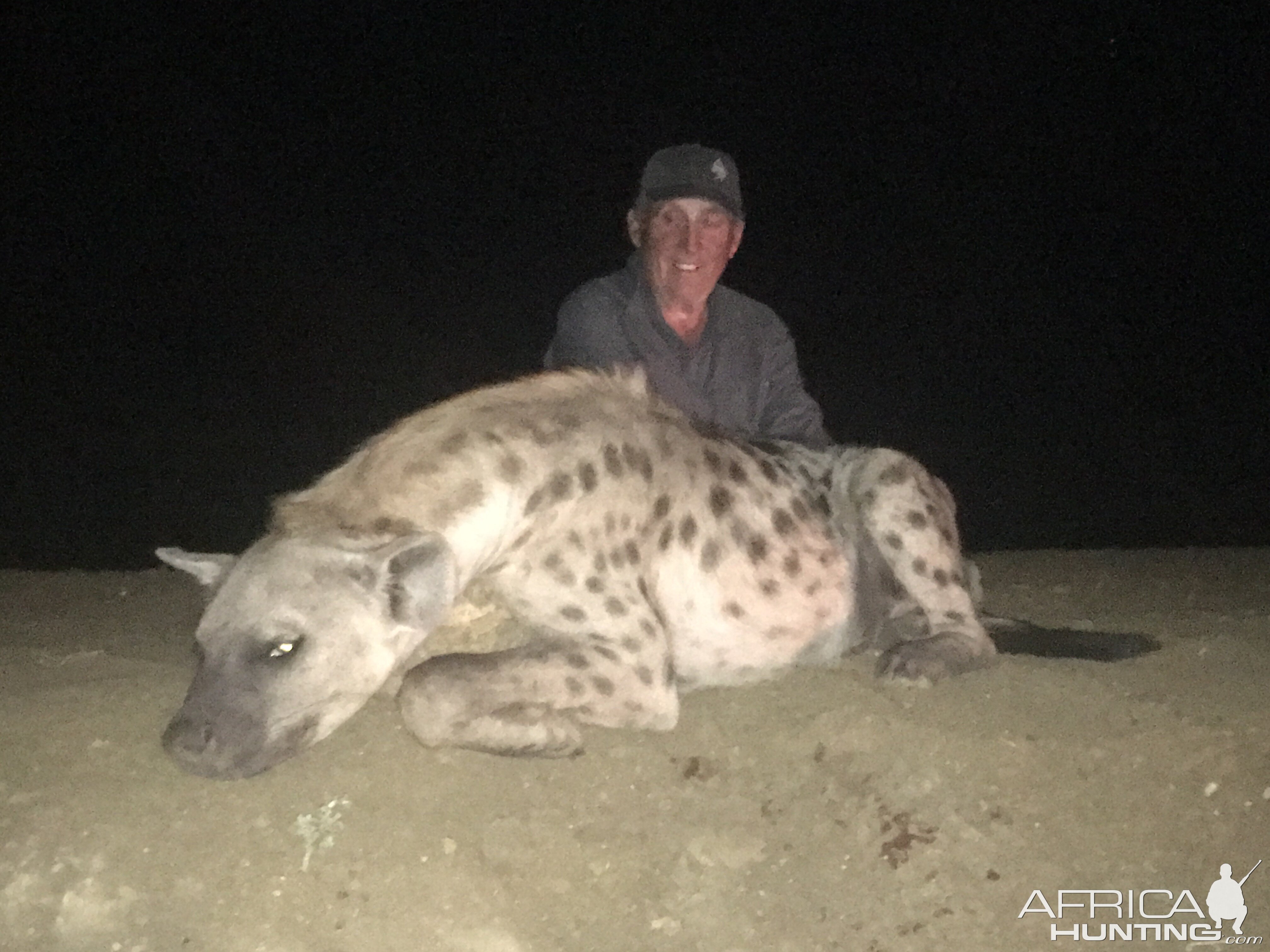 Hunt Spotted Hyena in South Africa