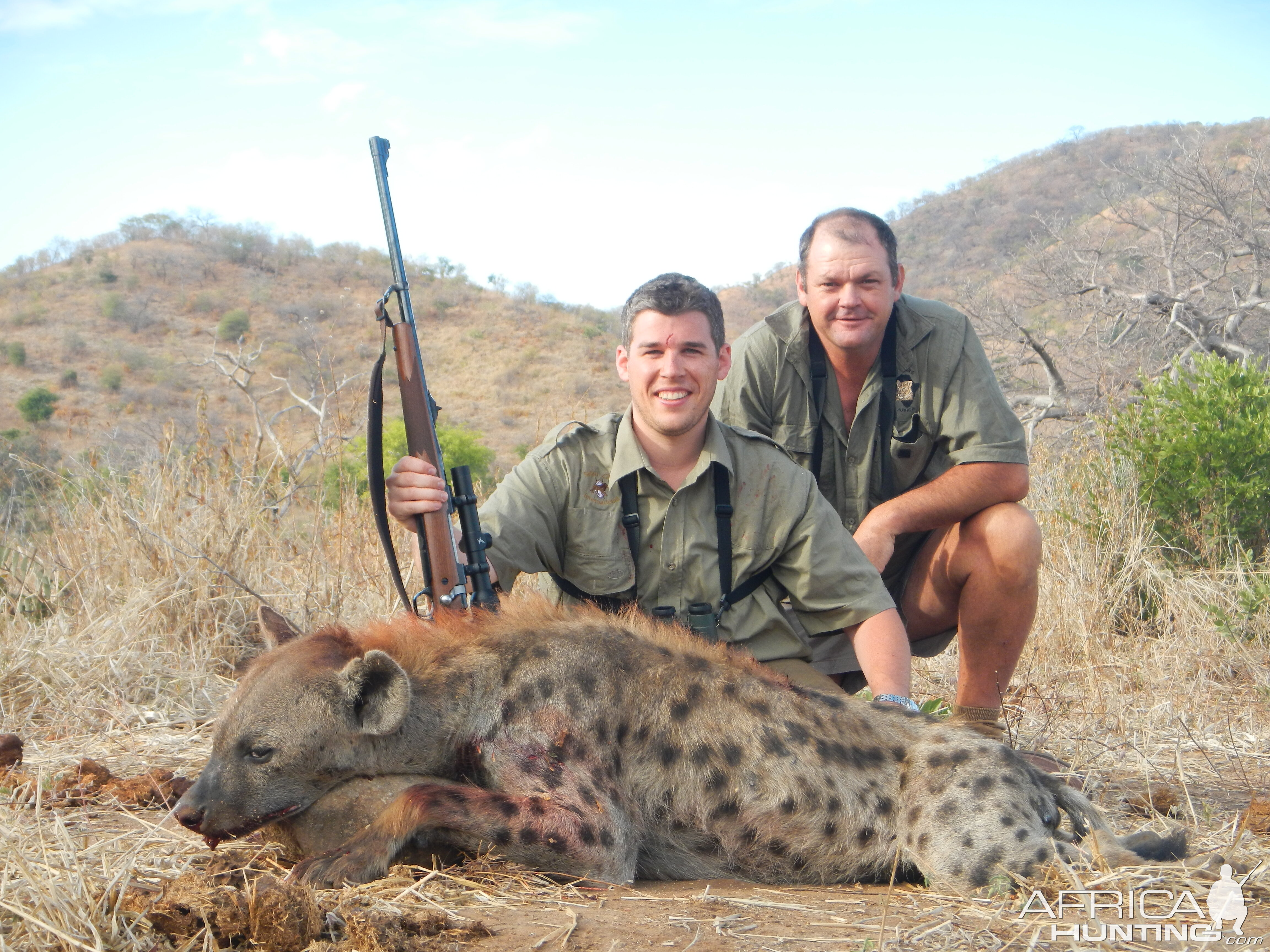 Hunt Spotted Hyena Zimbabwe