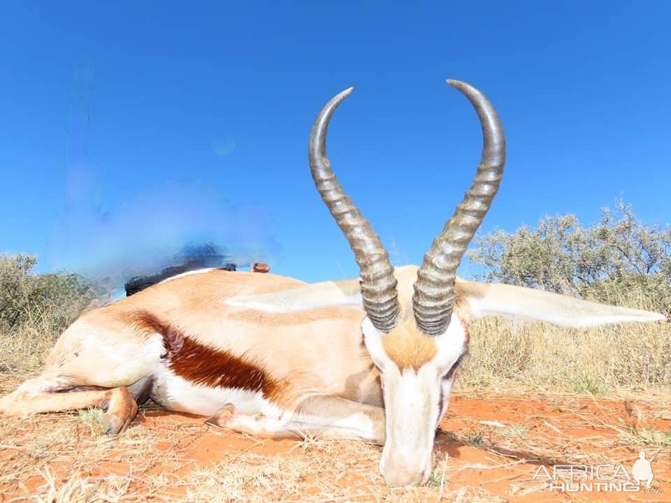 Hunt Springbok in South Africa