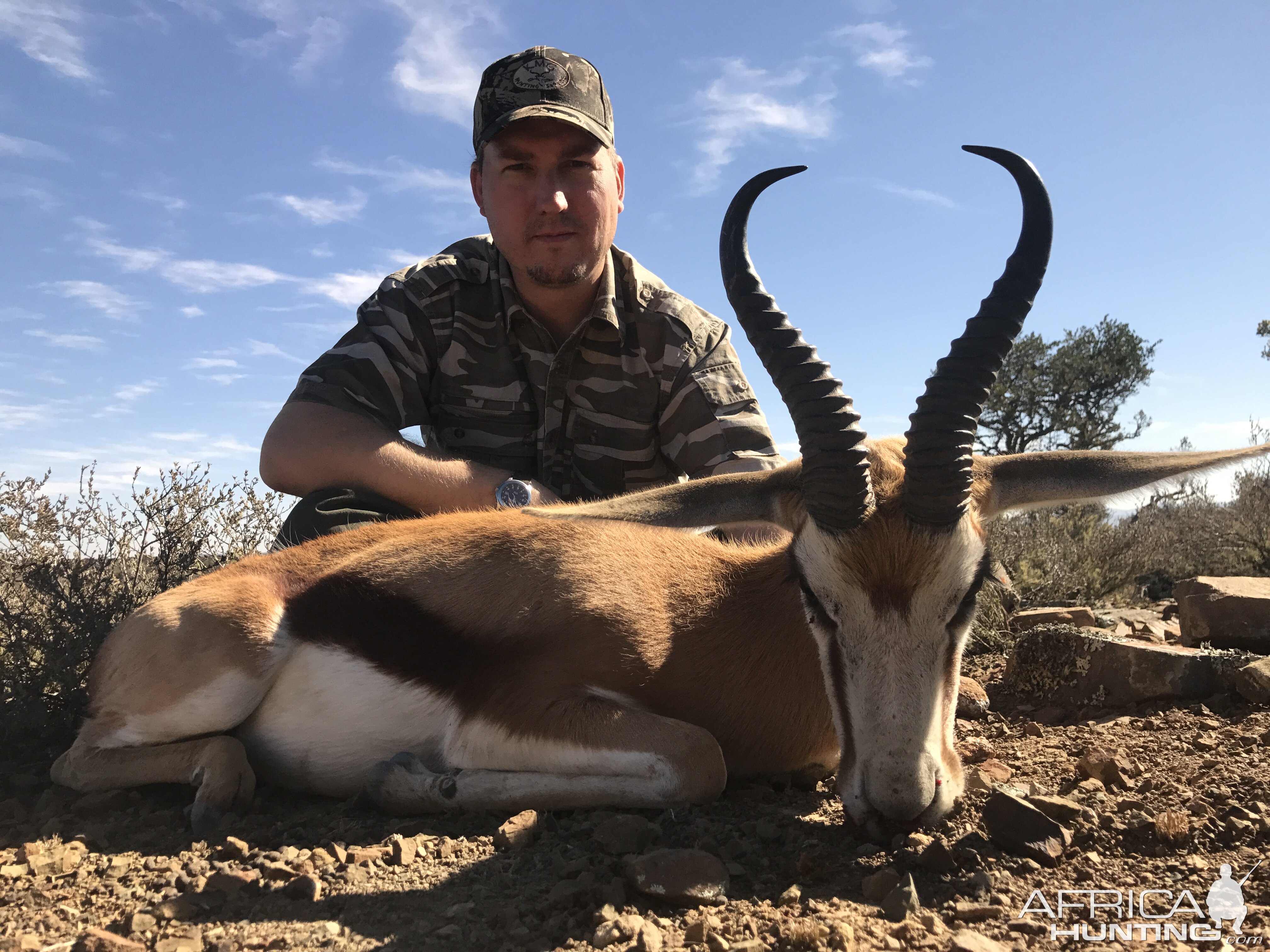 Hunt Springbok in South Africa