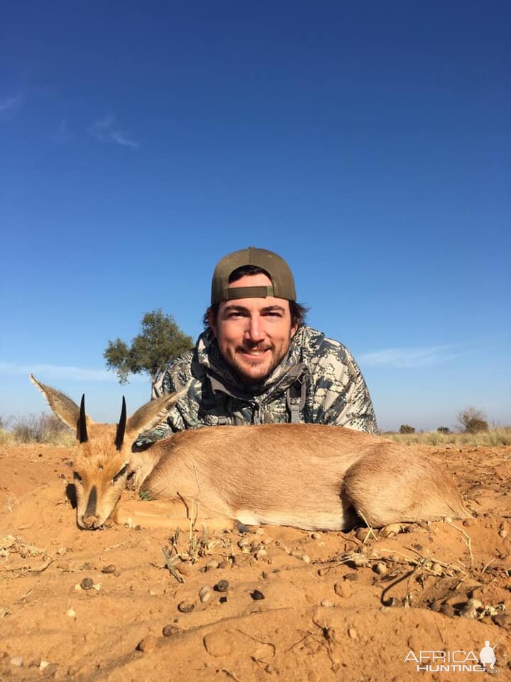 Hunt Steenbok in South Africa