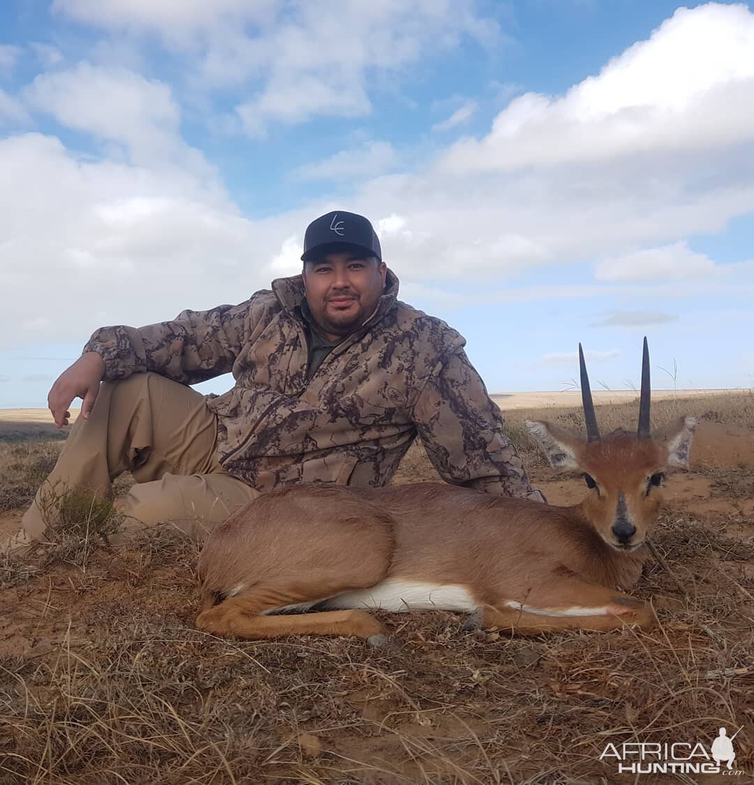 Hunt Steenbok in South Africa