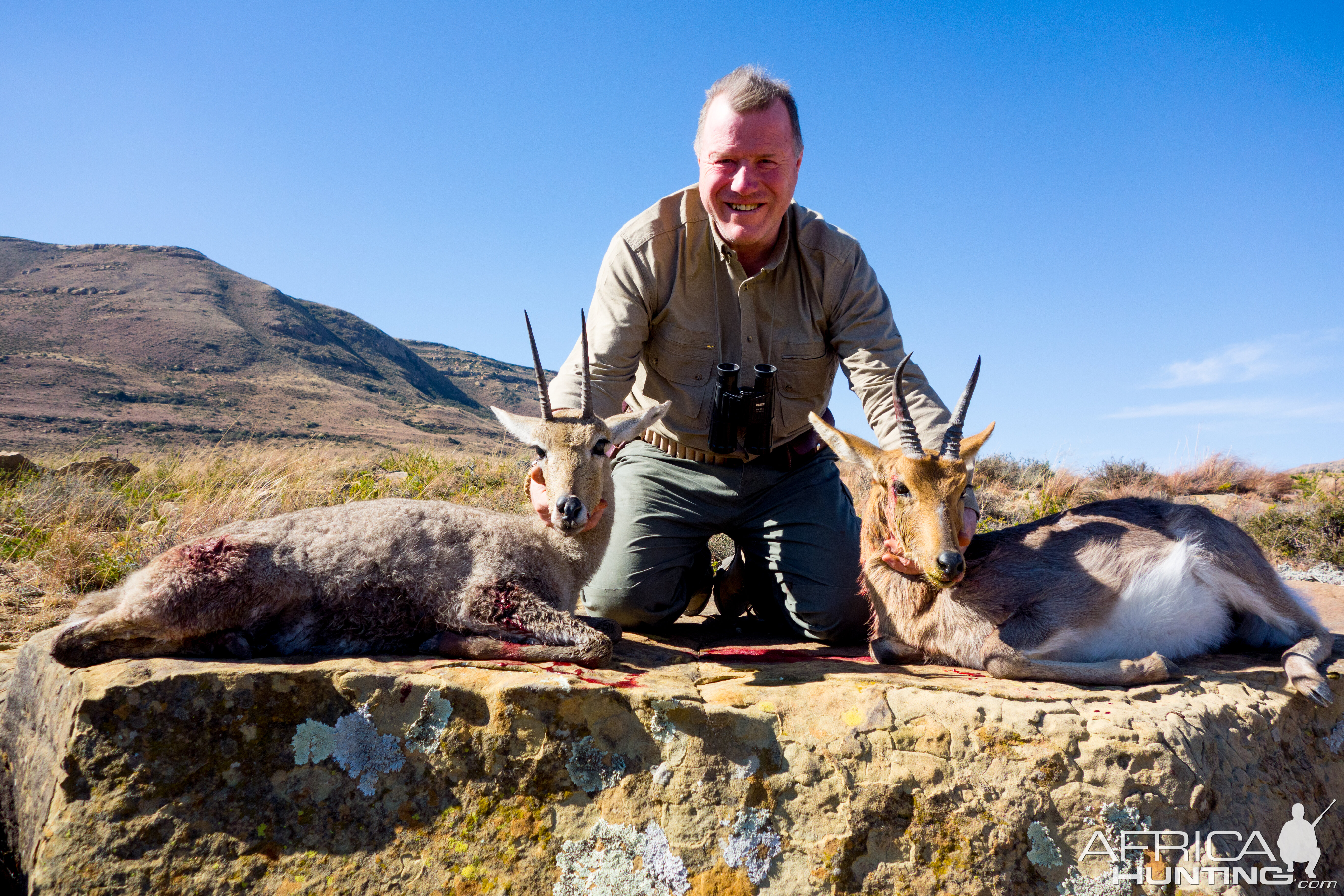 Hunt Vaal Rhebok & Mountain Reedbuck in South Africa