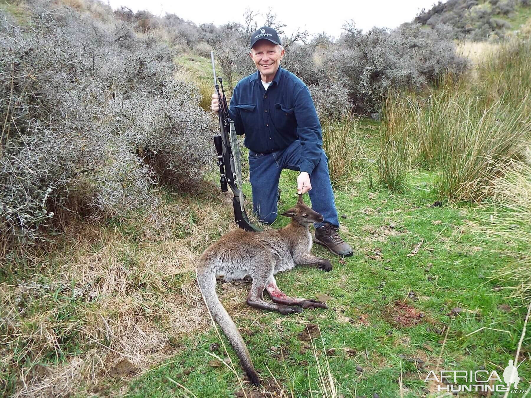 Hunt Wallaby New Zealand