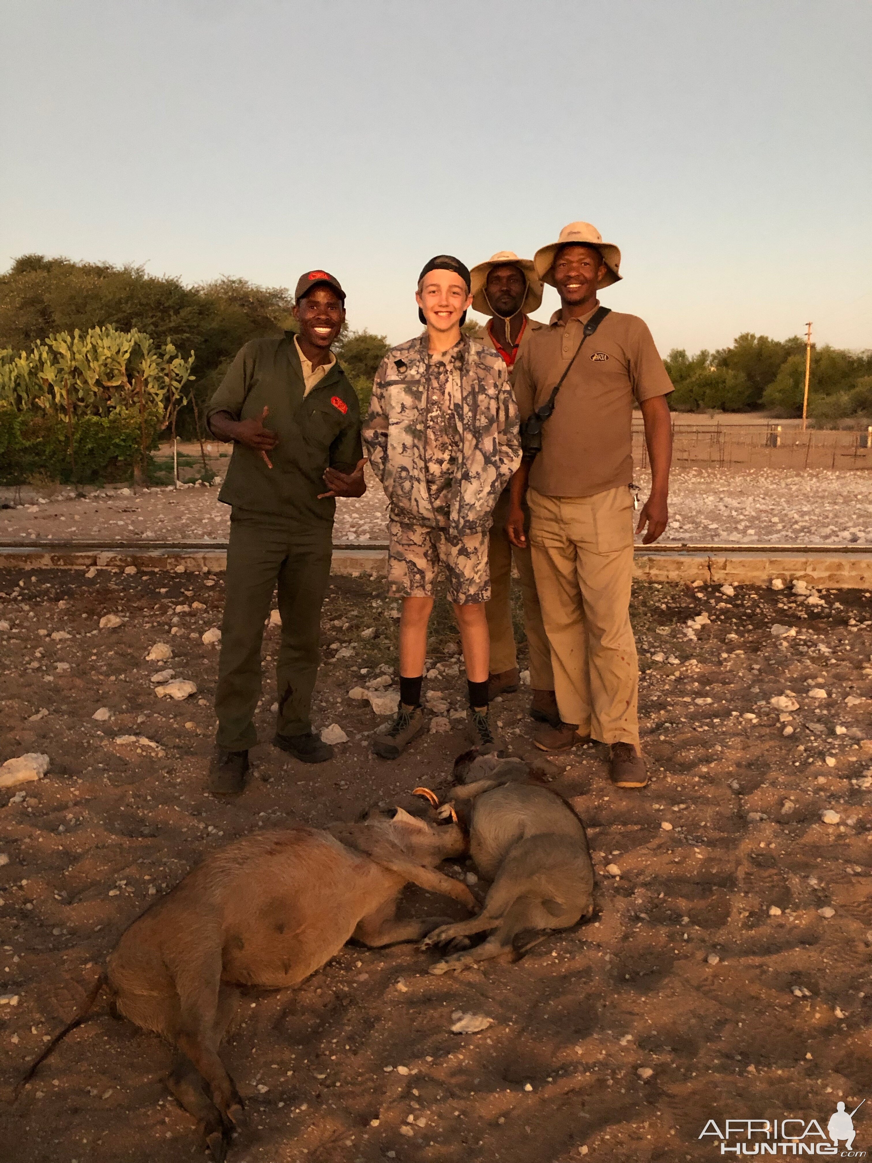 Hunt Warthog in Namibia