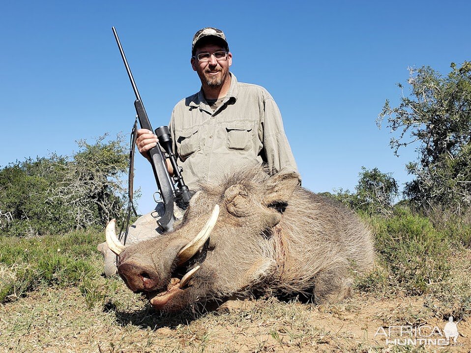 Hunt Warthog in South Africa