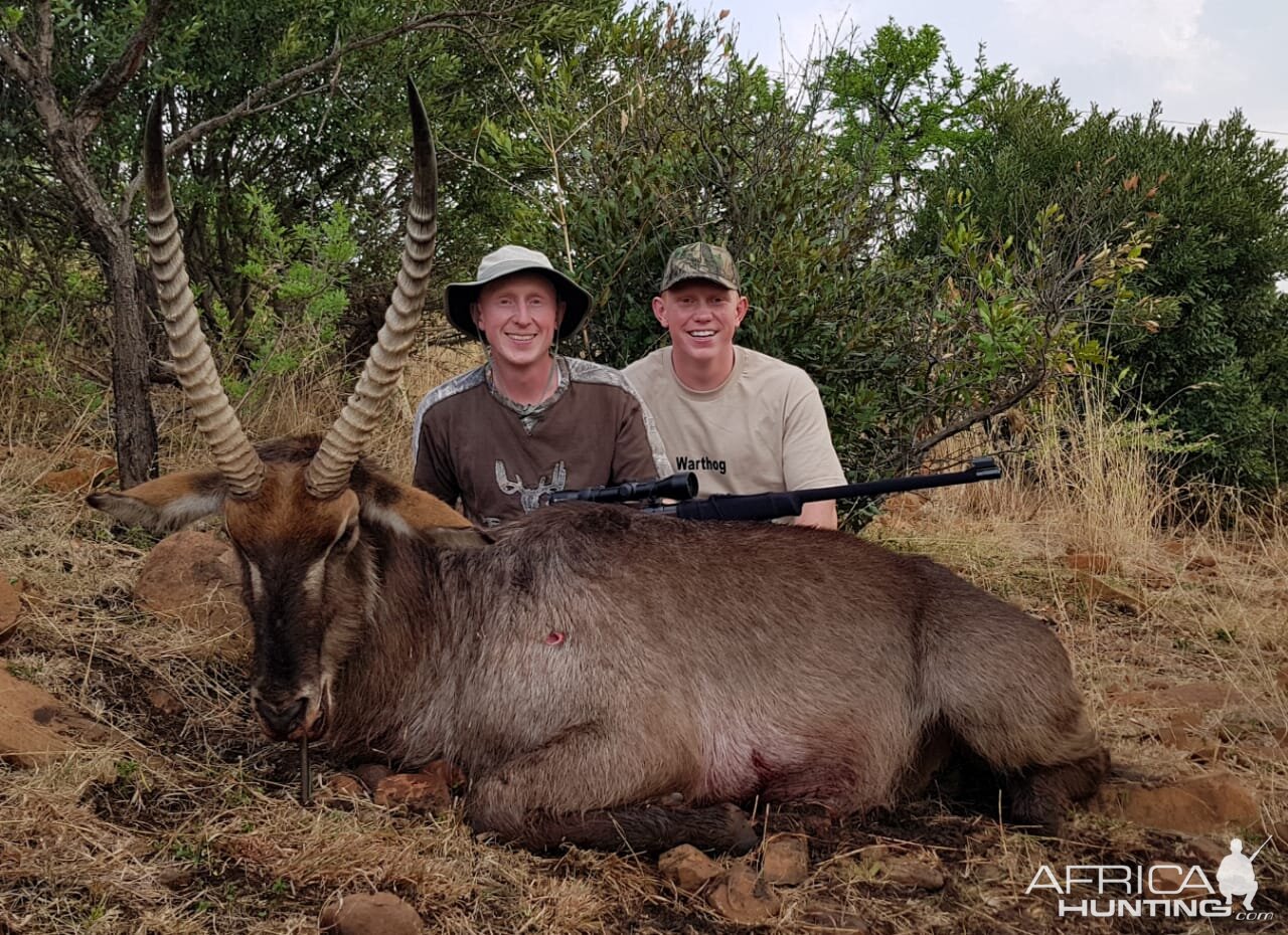 Hunt Waterbuck in South Africa