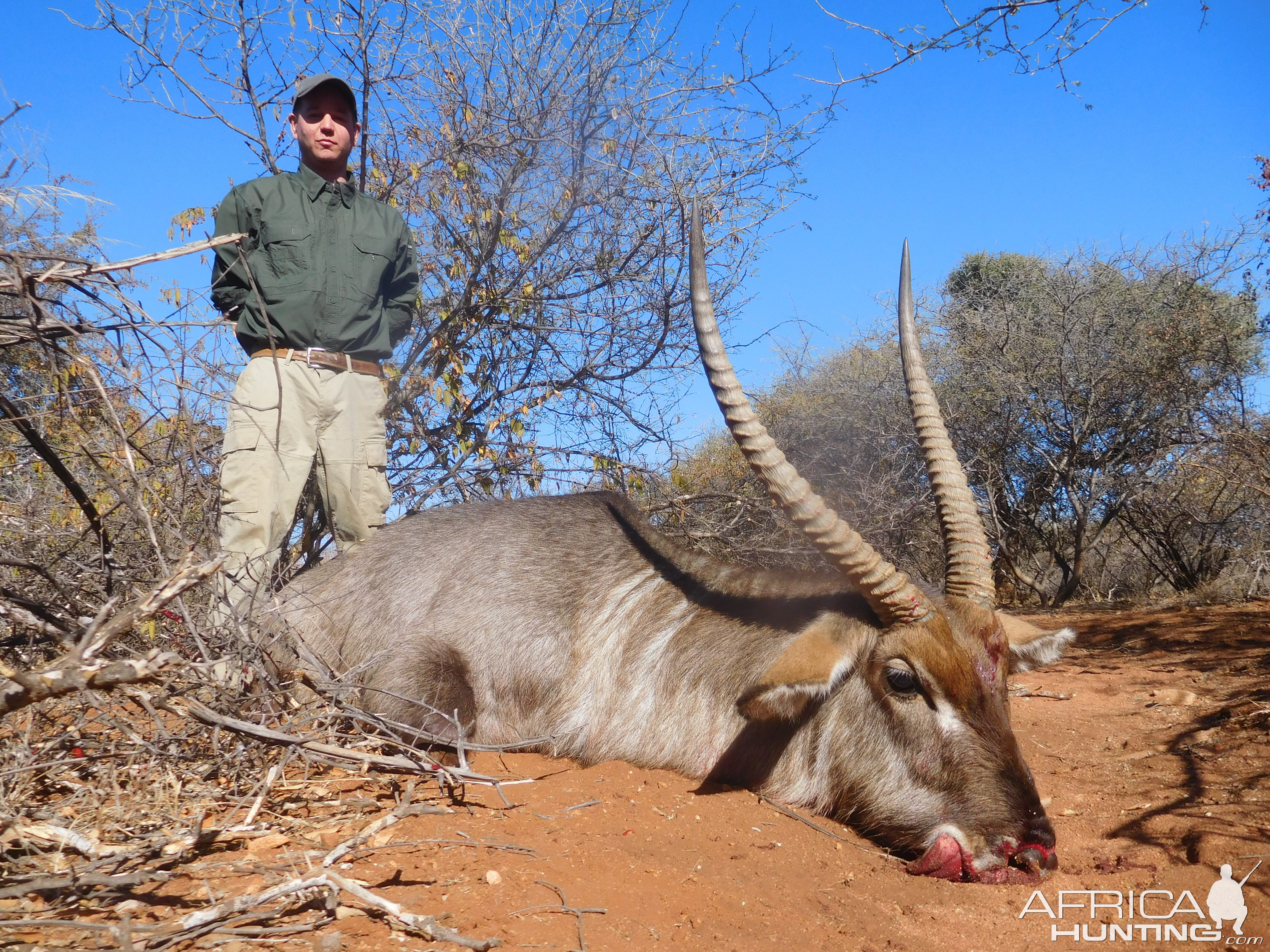 Hunt Waterbuck in South Africa