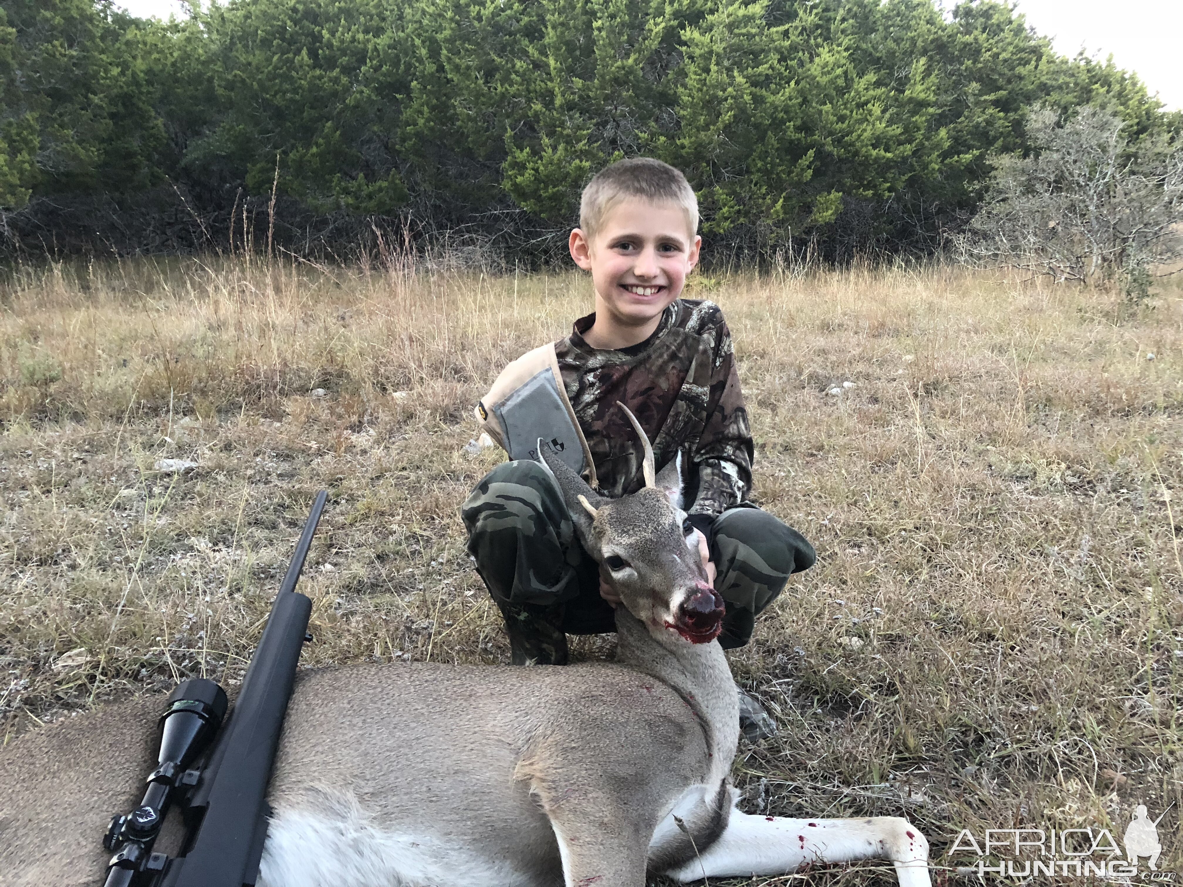 Hunt White-tailed Deer in Texas USA