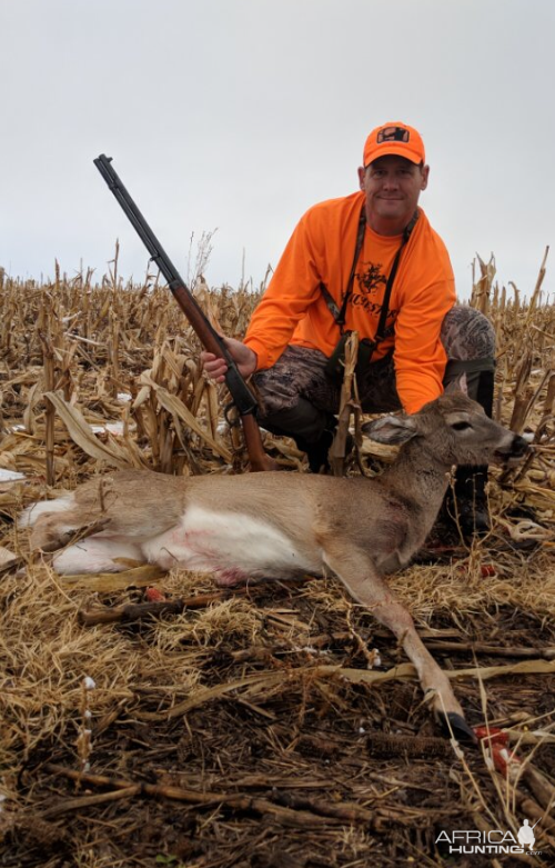 Hunt White-tailed Deer in USA