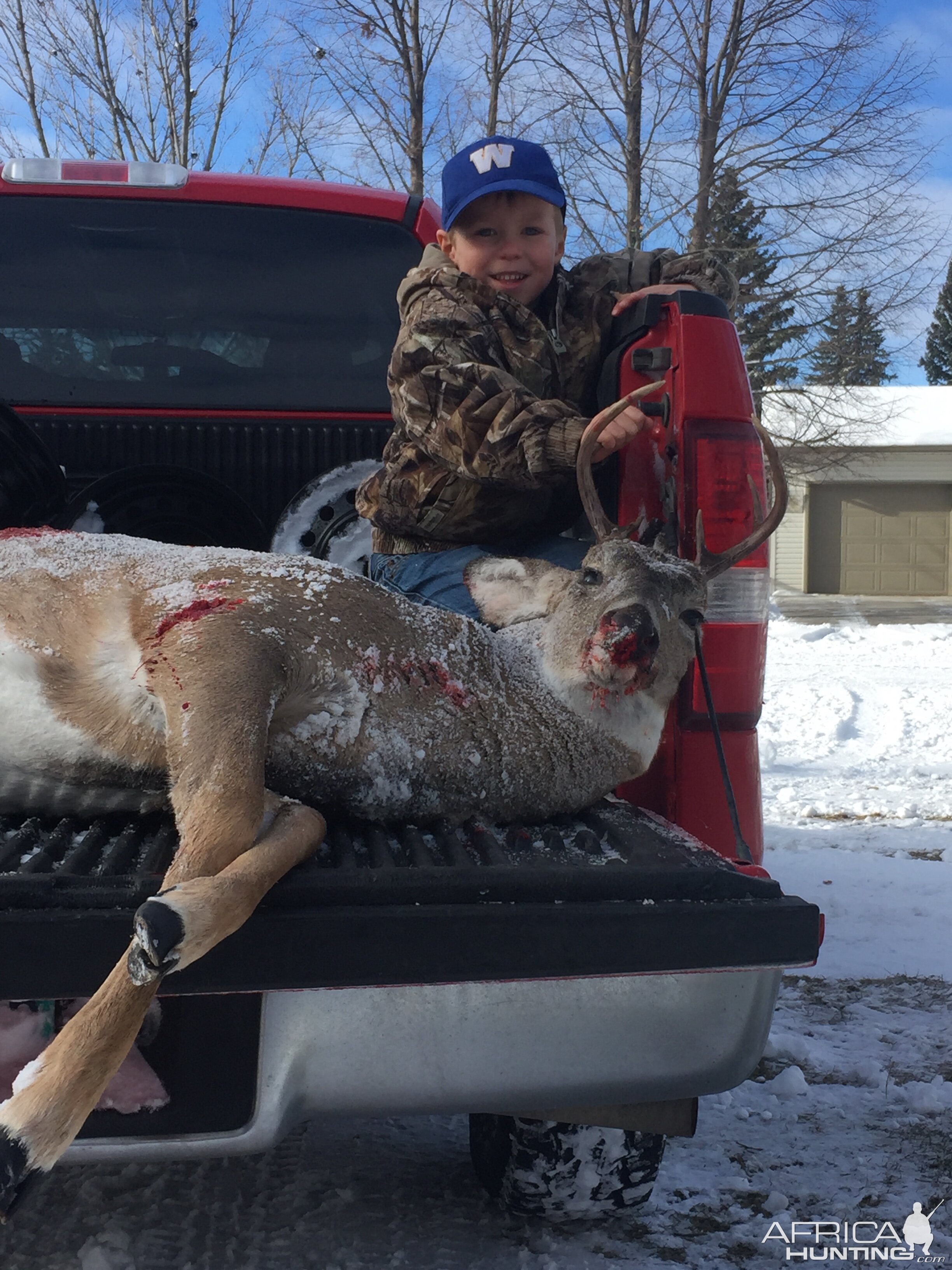 Hunt Whitetail Deer