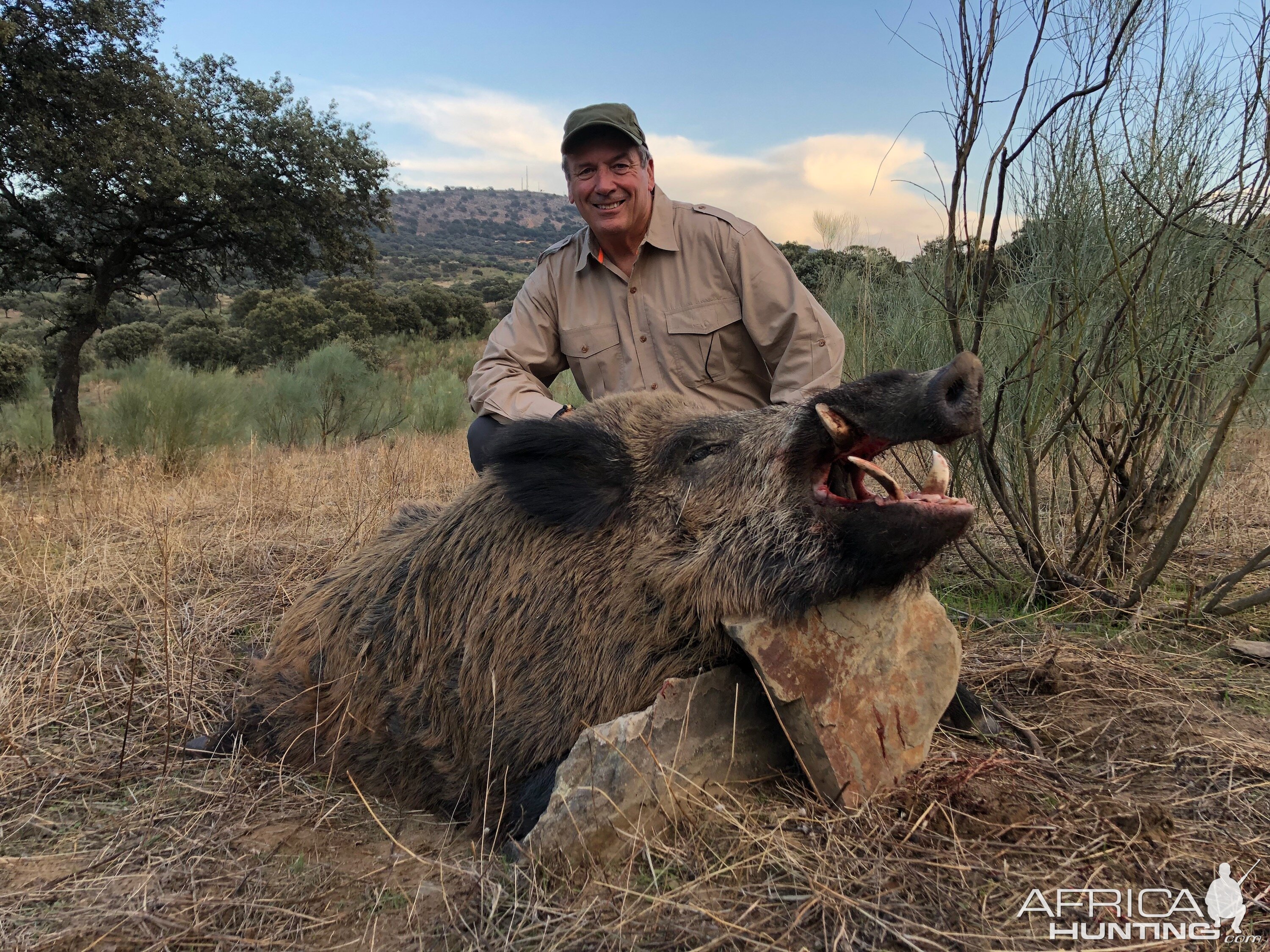 Hunt Wild Boar in Spain