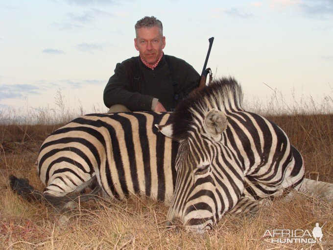 Hunt Zebra