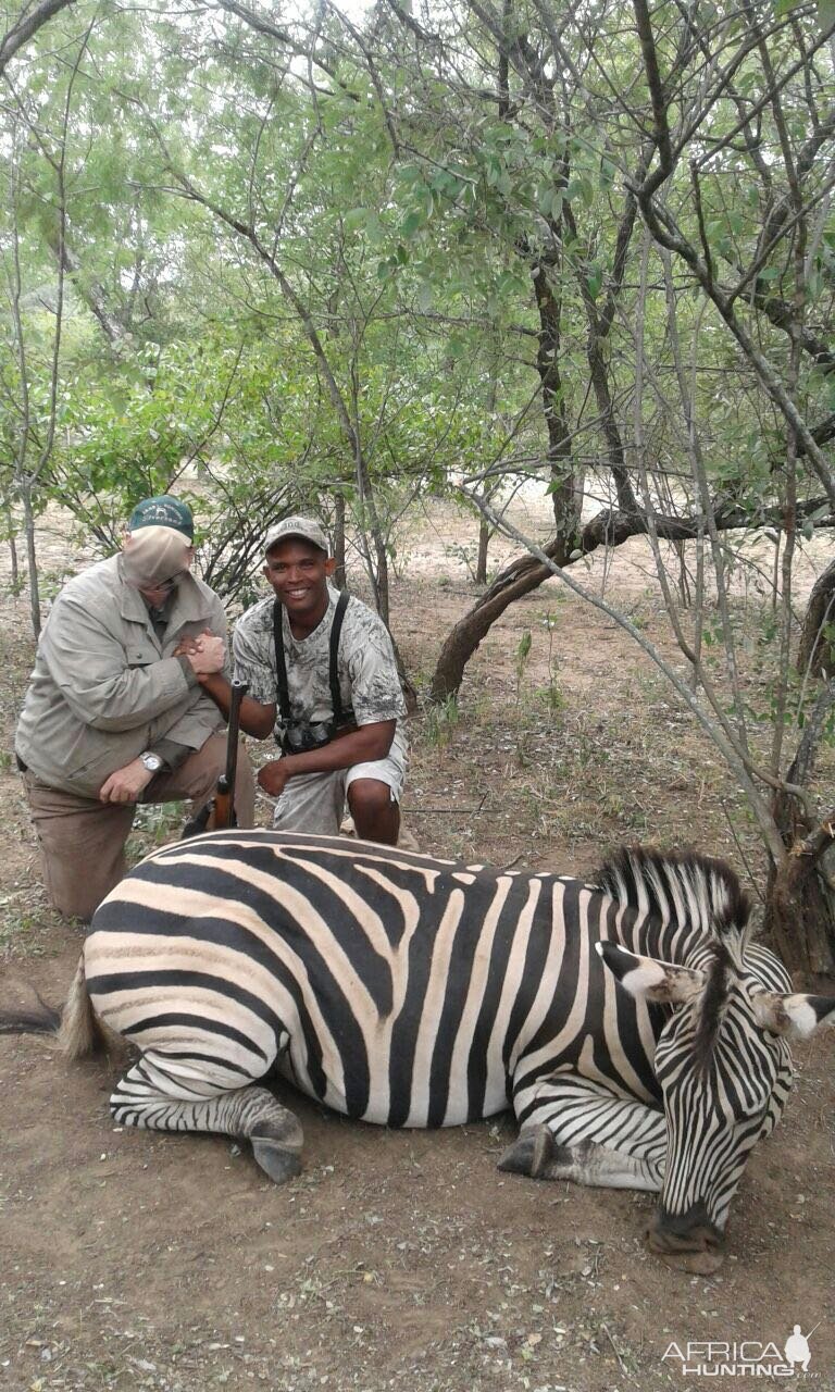 Hunt Zebra