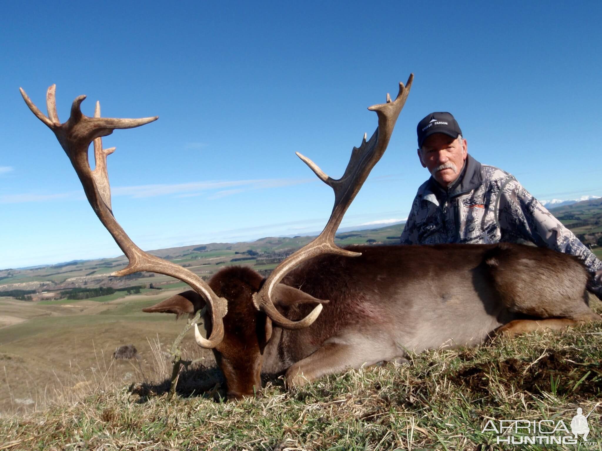Hunting 18 Point Fallow Deer in New Zealand