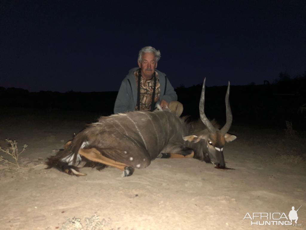 Hunting A Nyala South Africa