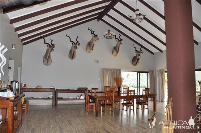 Hunting Accommodation Kudu Ridge Lodge