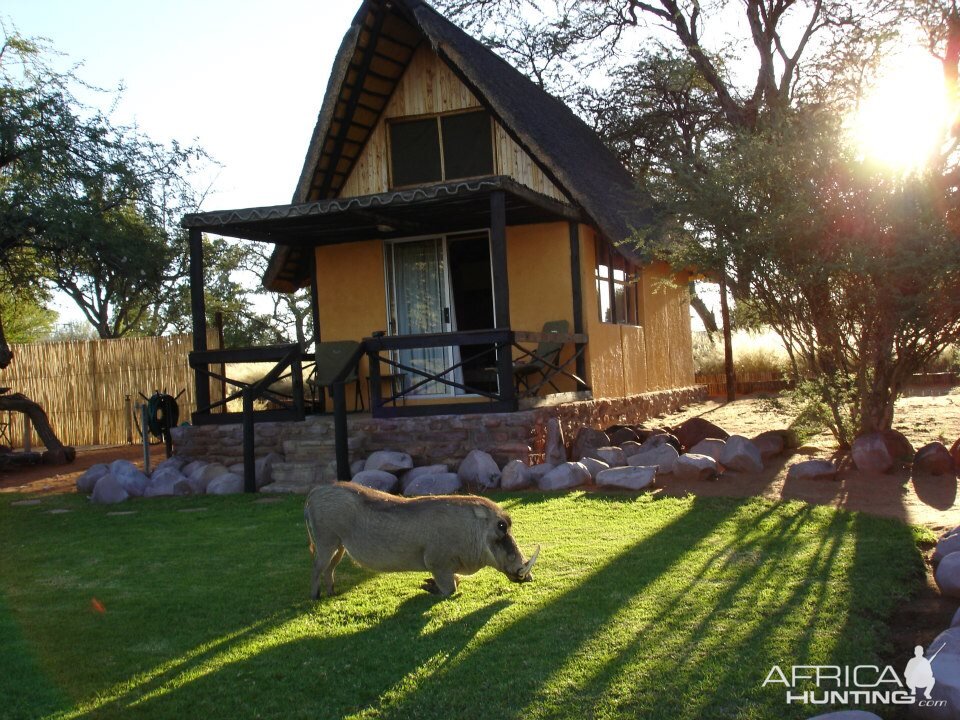 Hunting Accommodation Namibia