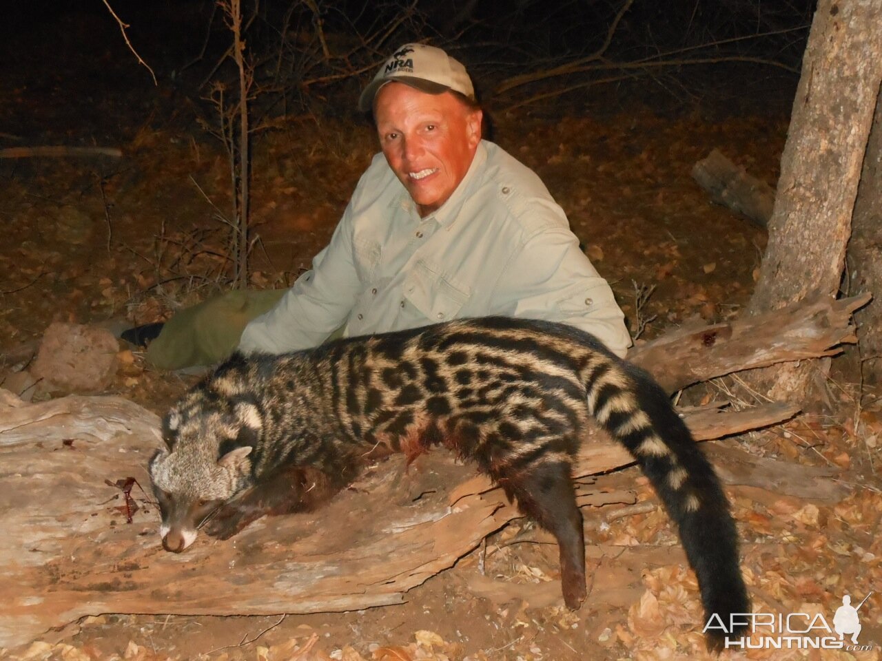 Hunting African Civet