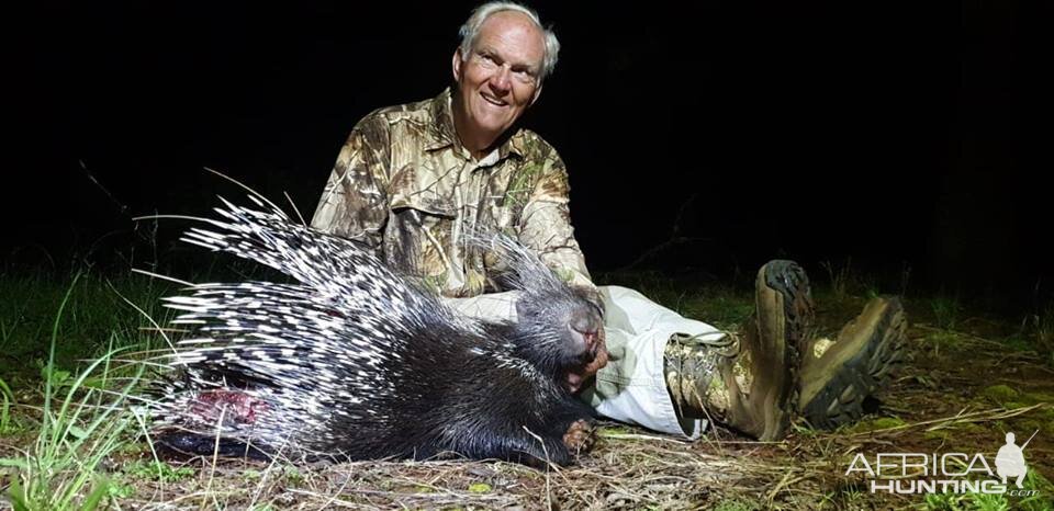 Hunting African Porcupine in South Africa