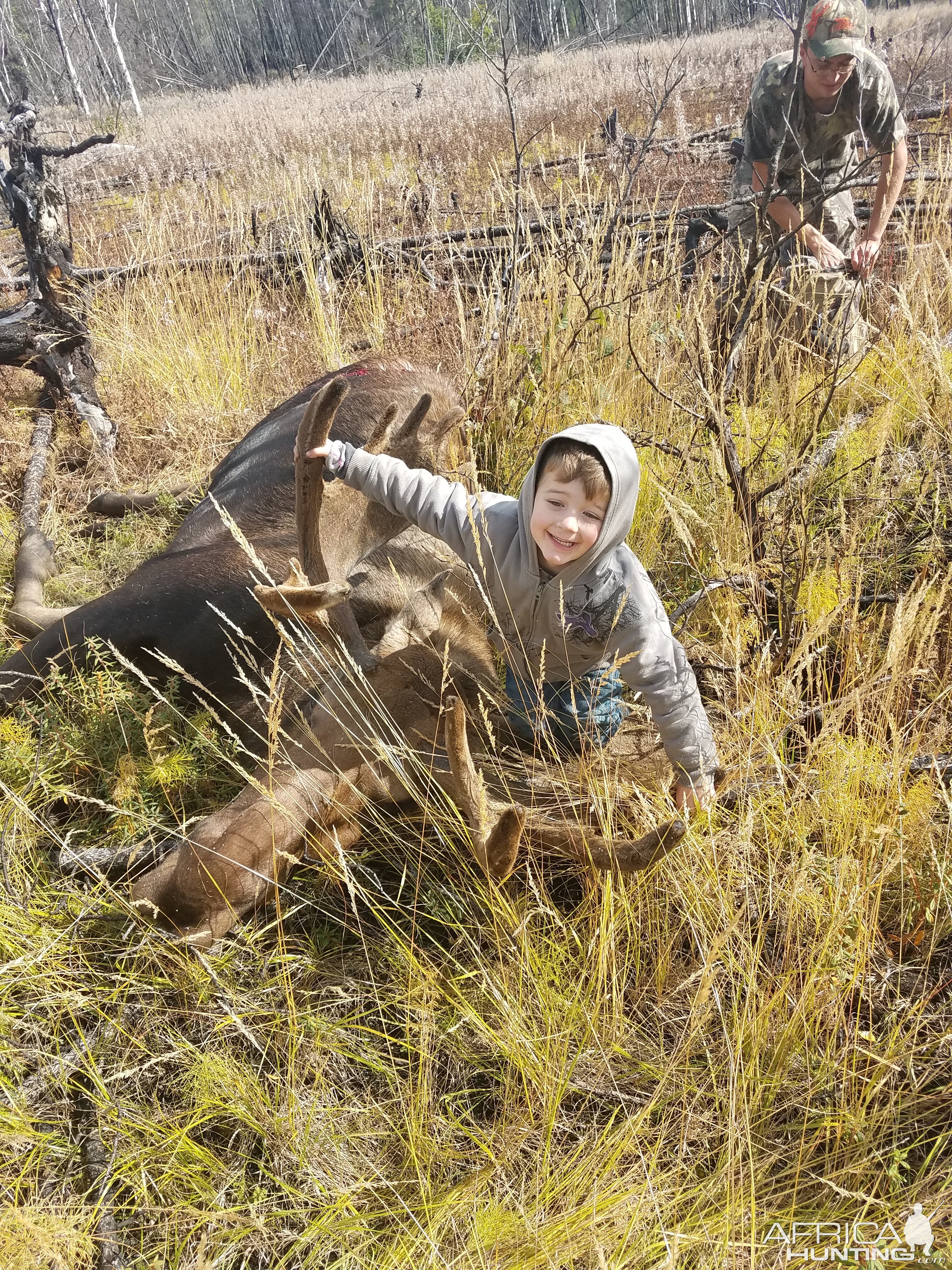 Hunting Alaska Moose