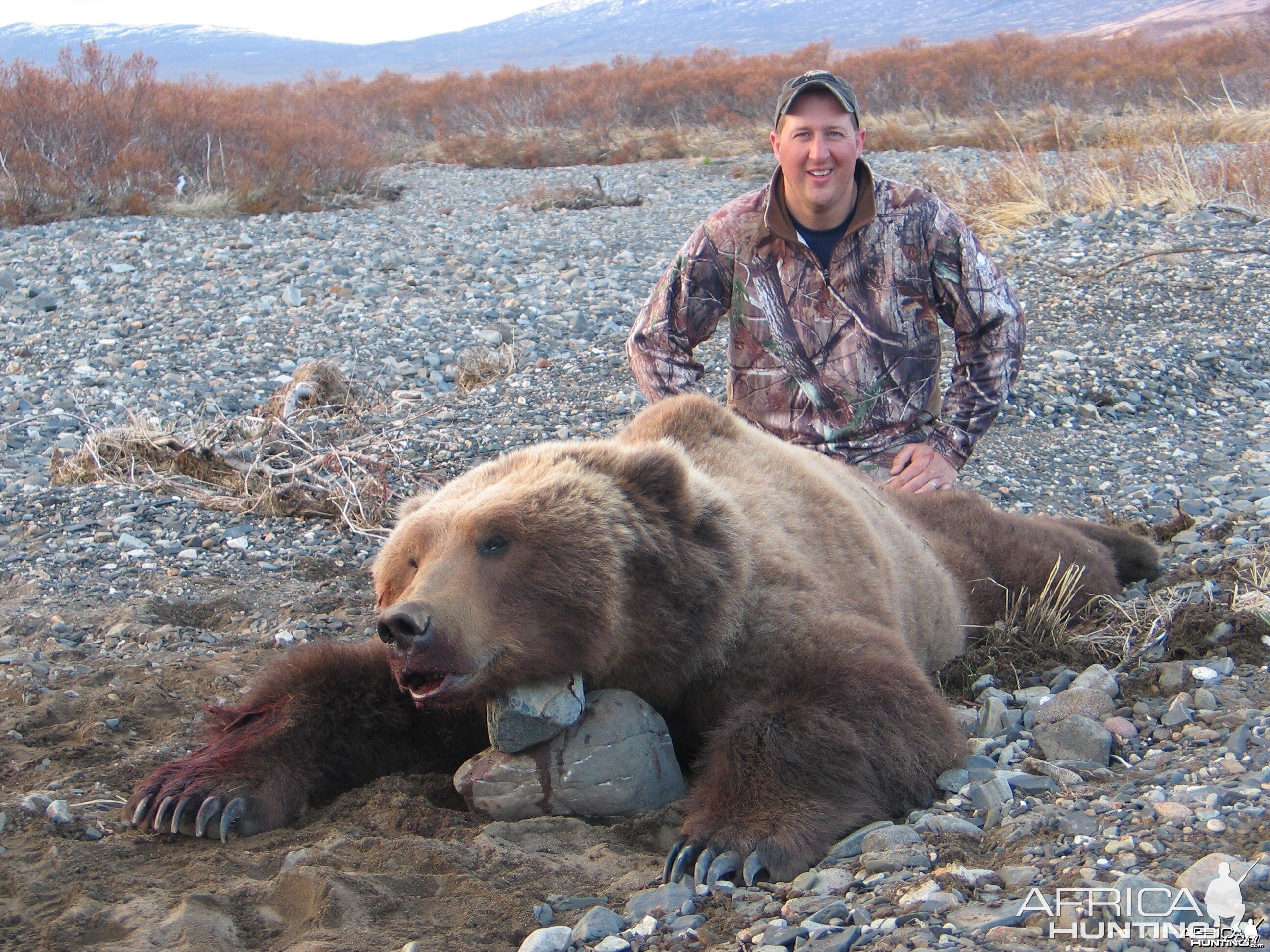 Hunting Alaskan Brown Bear