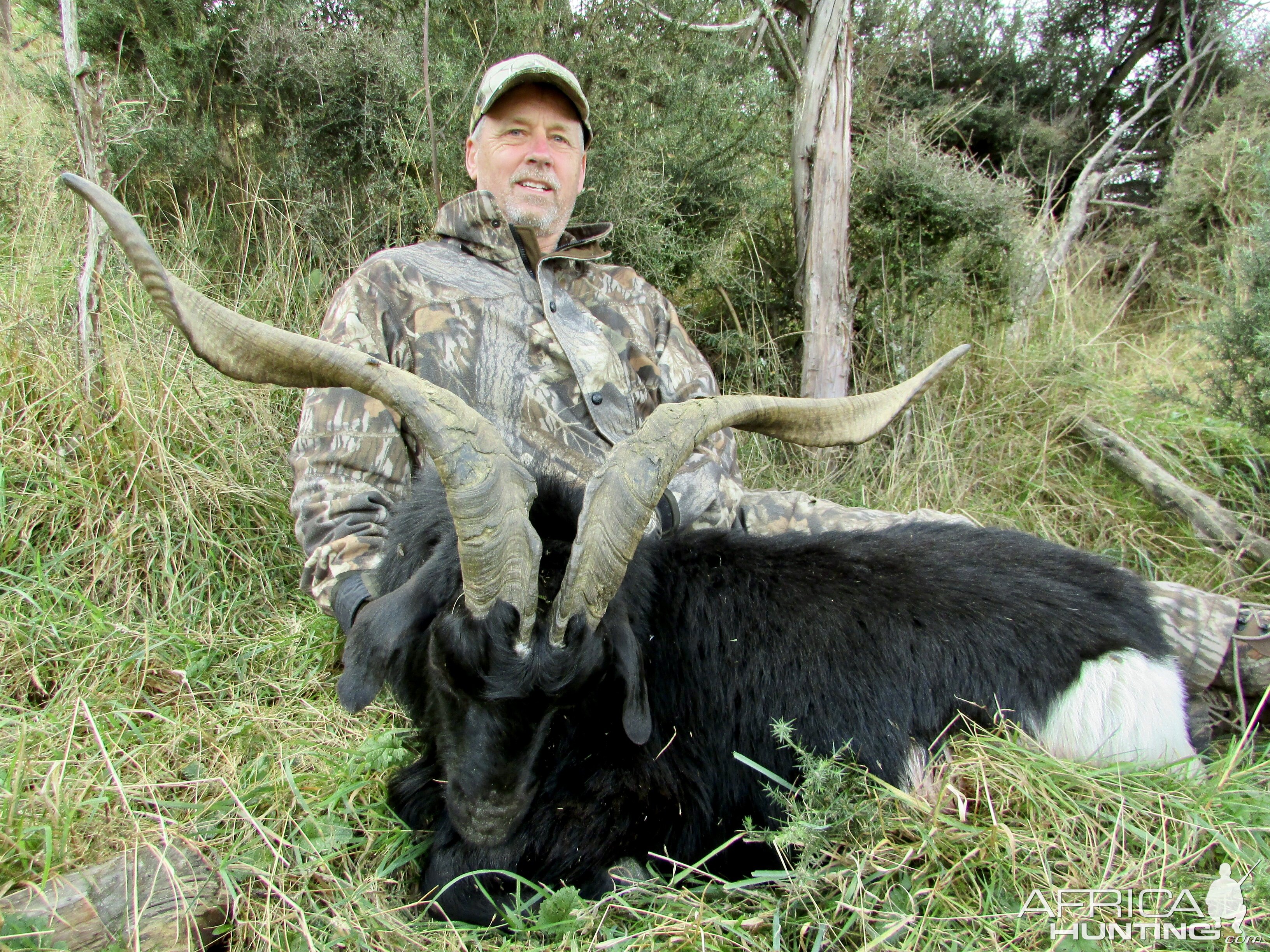 Hunting Alpine Goat in New Zealand