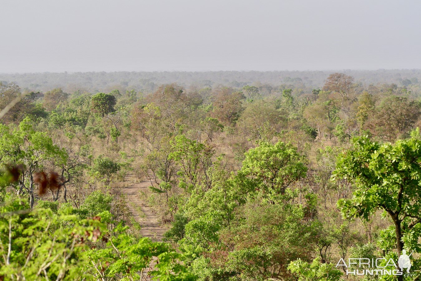 Hunting Area in Burkina Faso