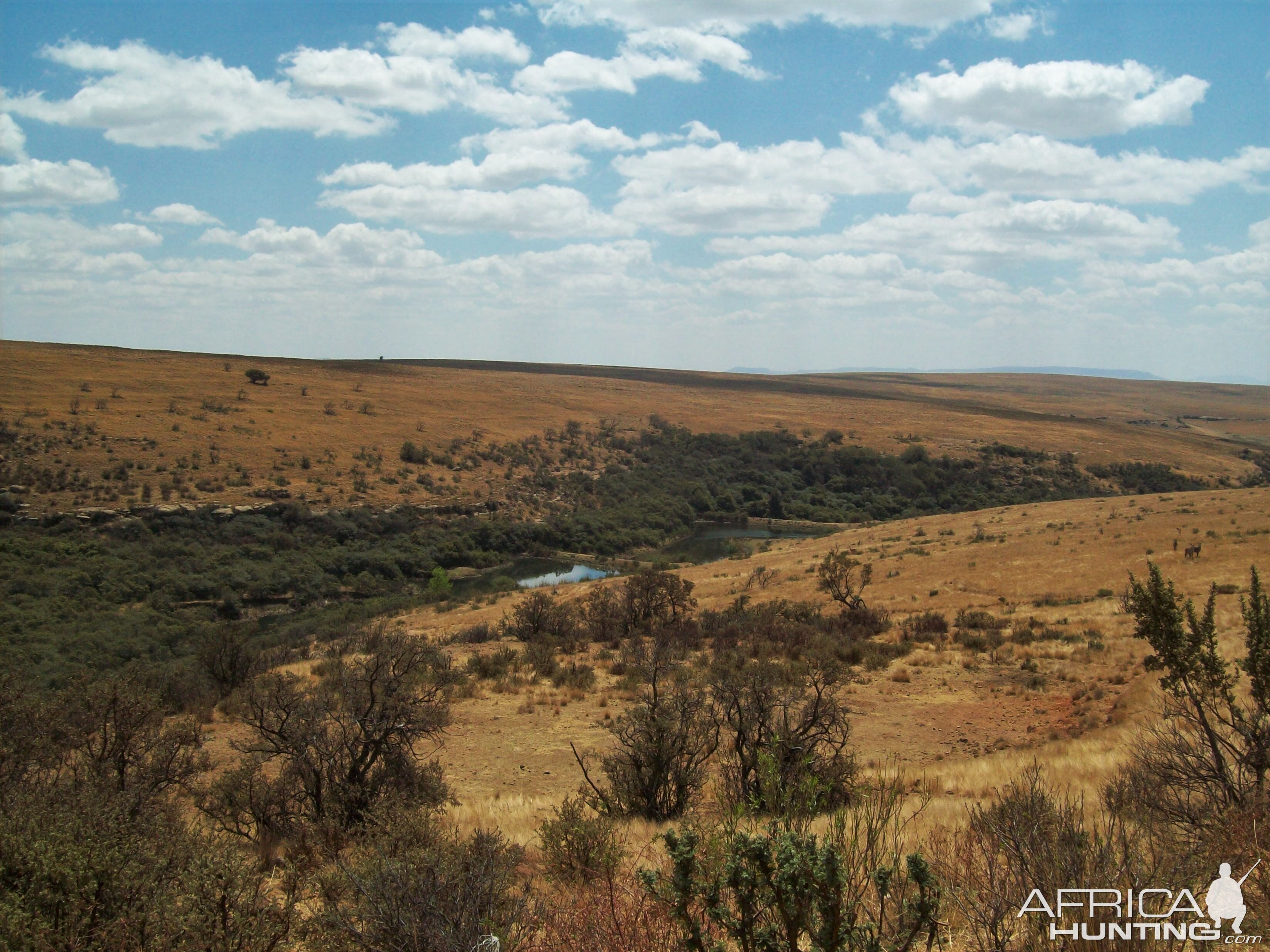 Hunting Area in South Africa