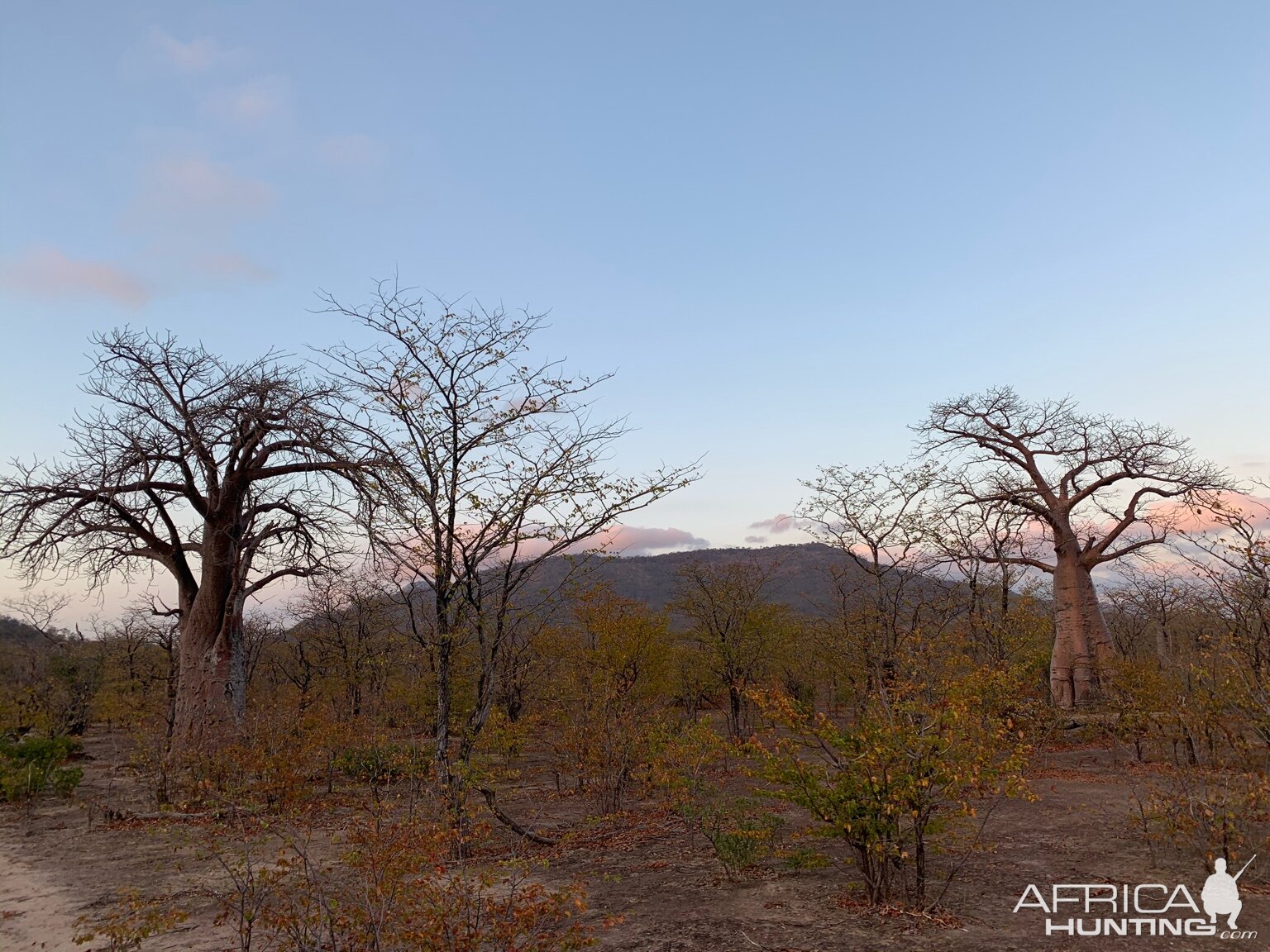 Hunting Area in Zambia