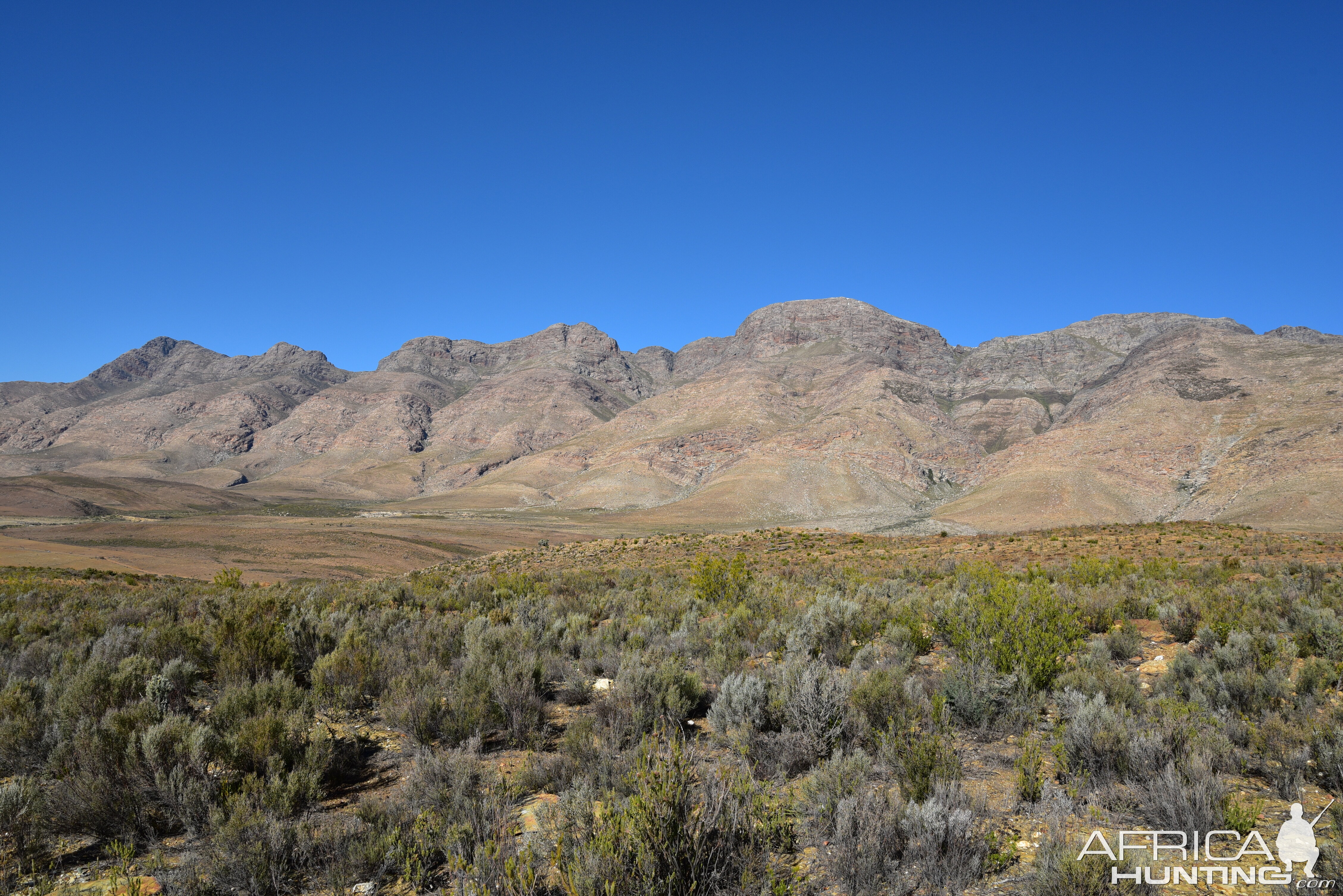 Hunting Area South Africa