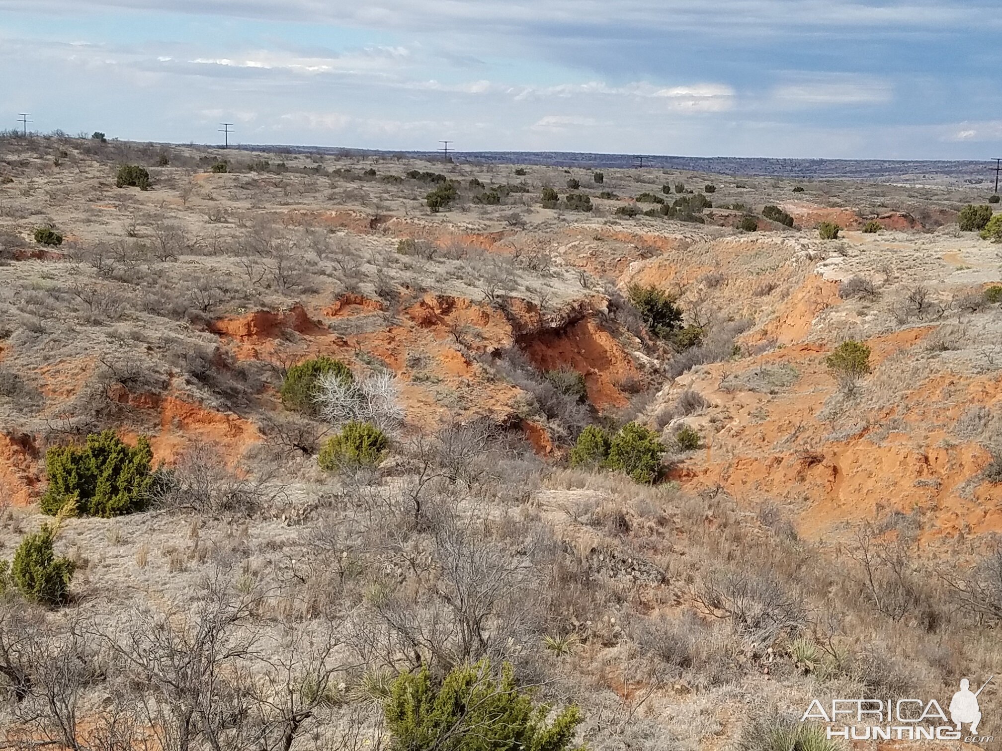 Hunting Area Texas USA