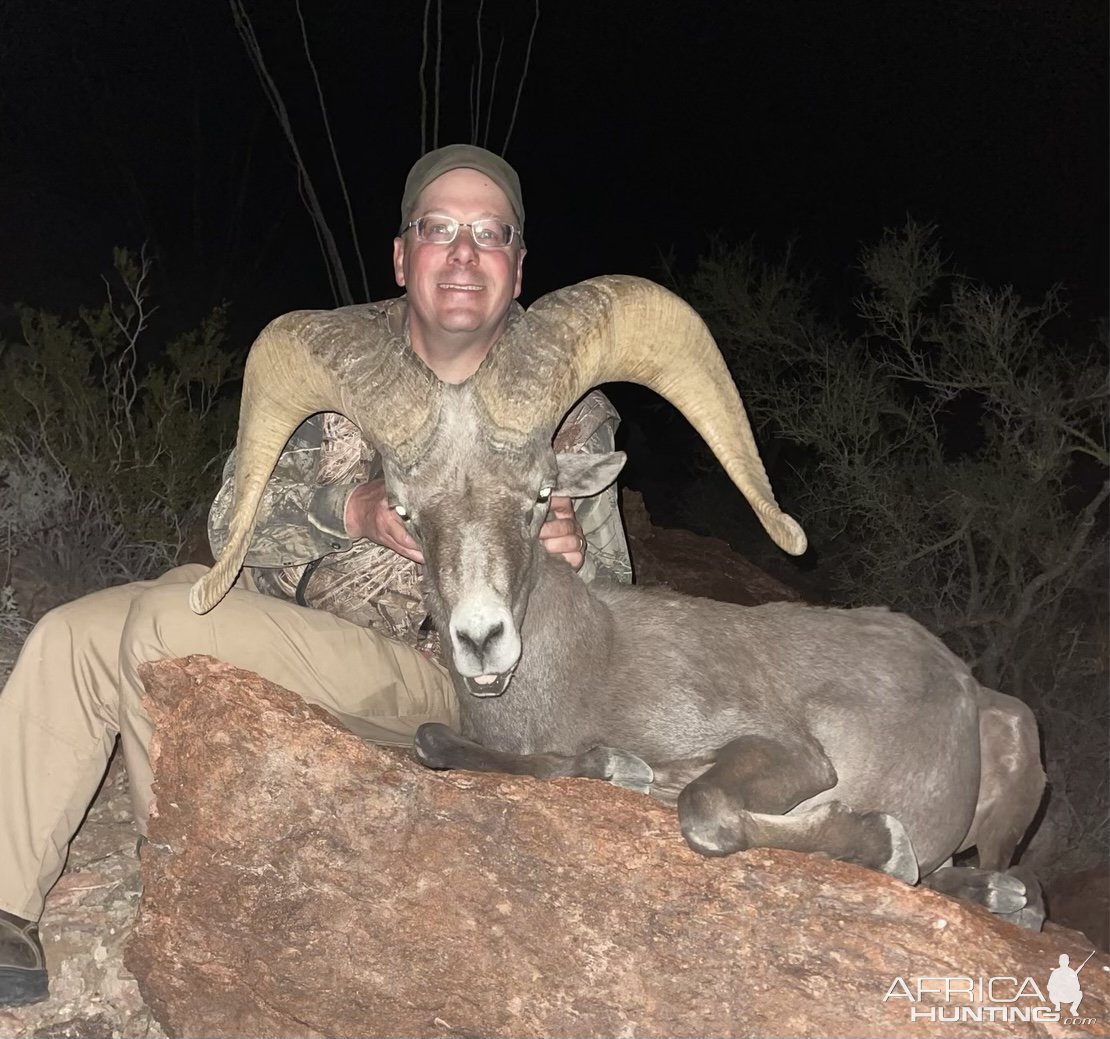 Hunting Arizona Desert Bighorn Sheep