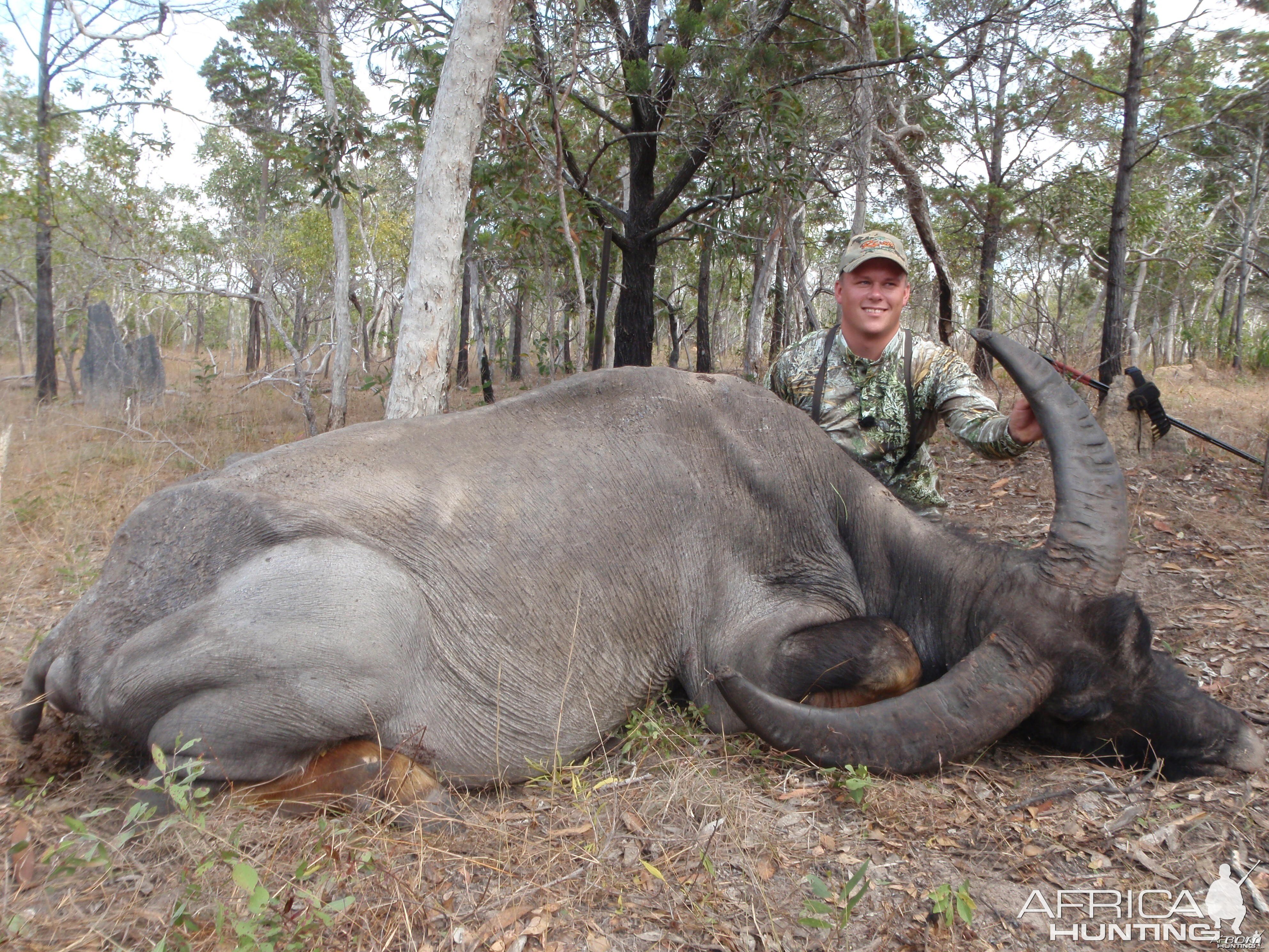 Hunting Asiatic Buffalo in Northern Australia