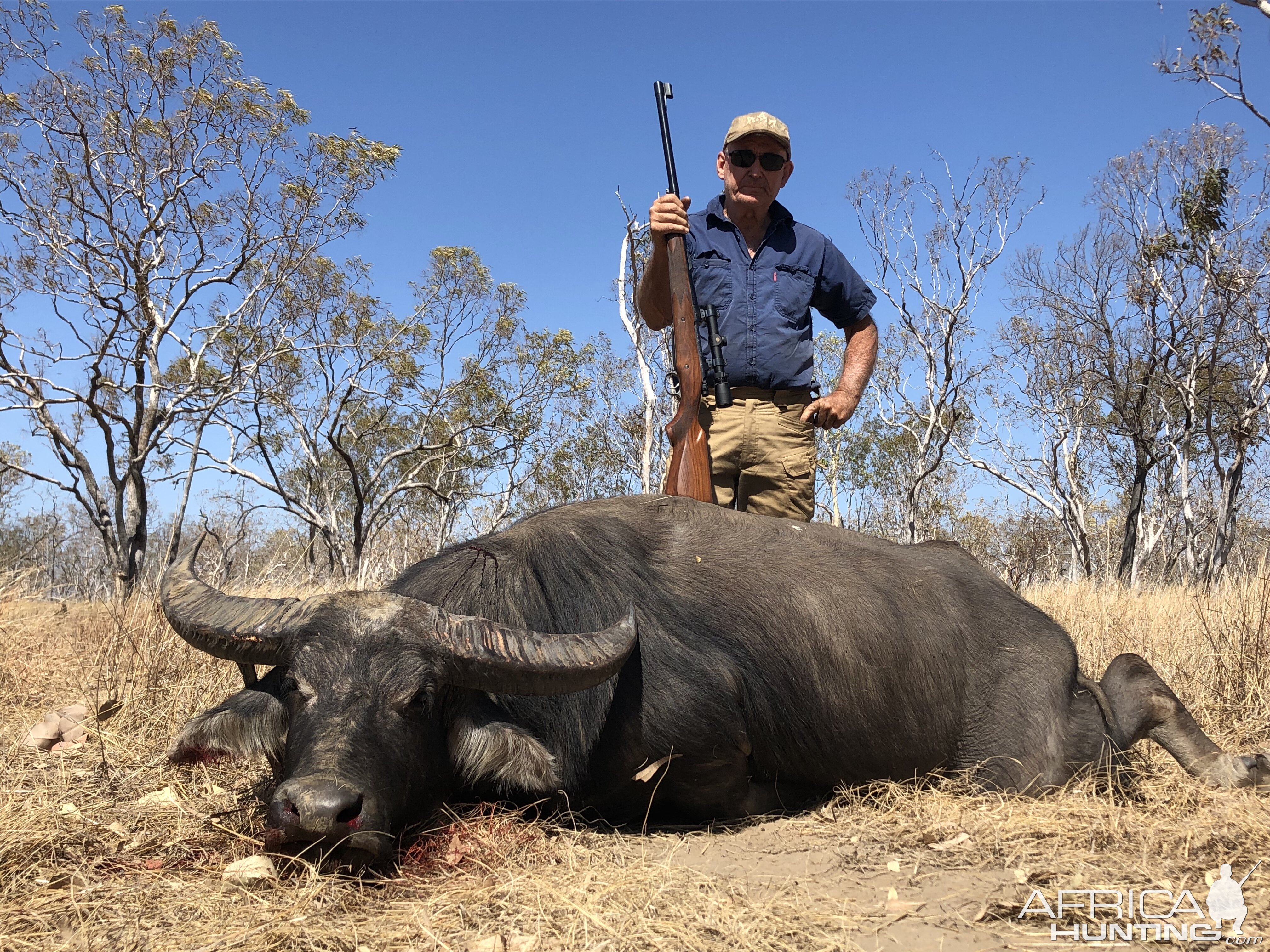 Hunting Asiatic Water Buffalo in Australia