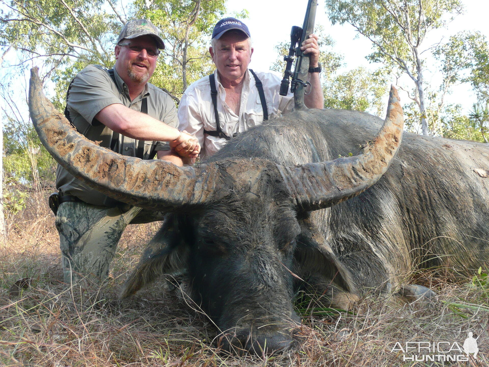 Hunting Australian Buffalo
