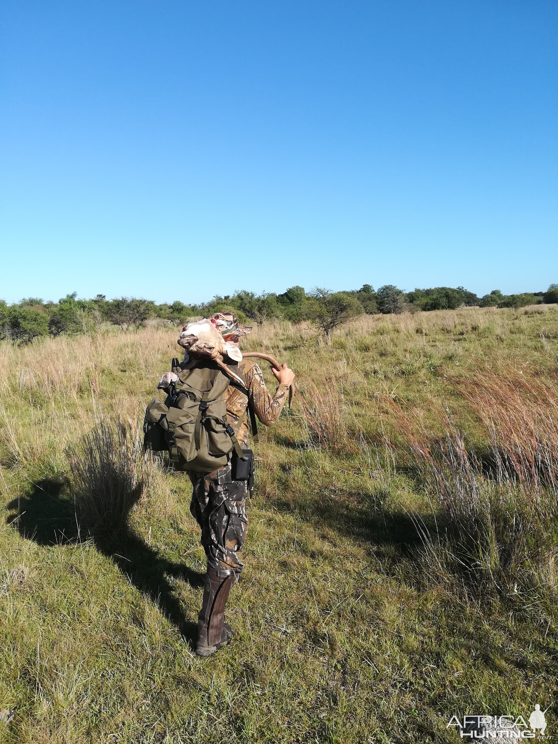 Hunting Axis Deer Argentina