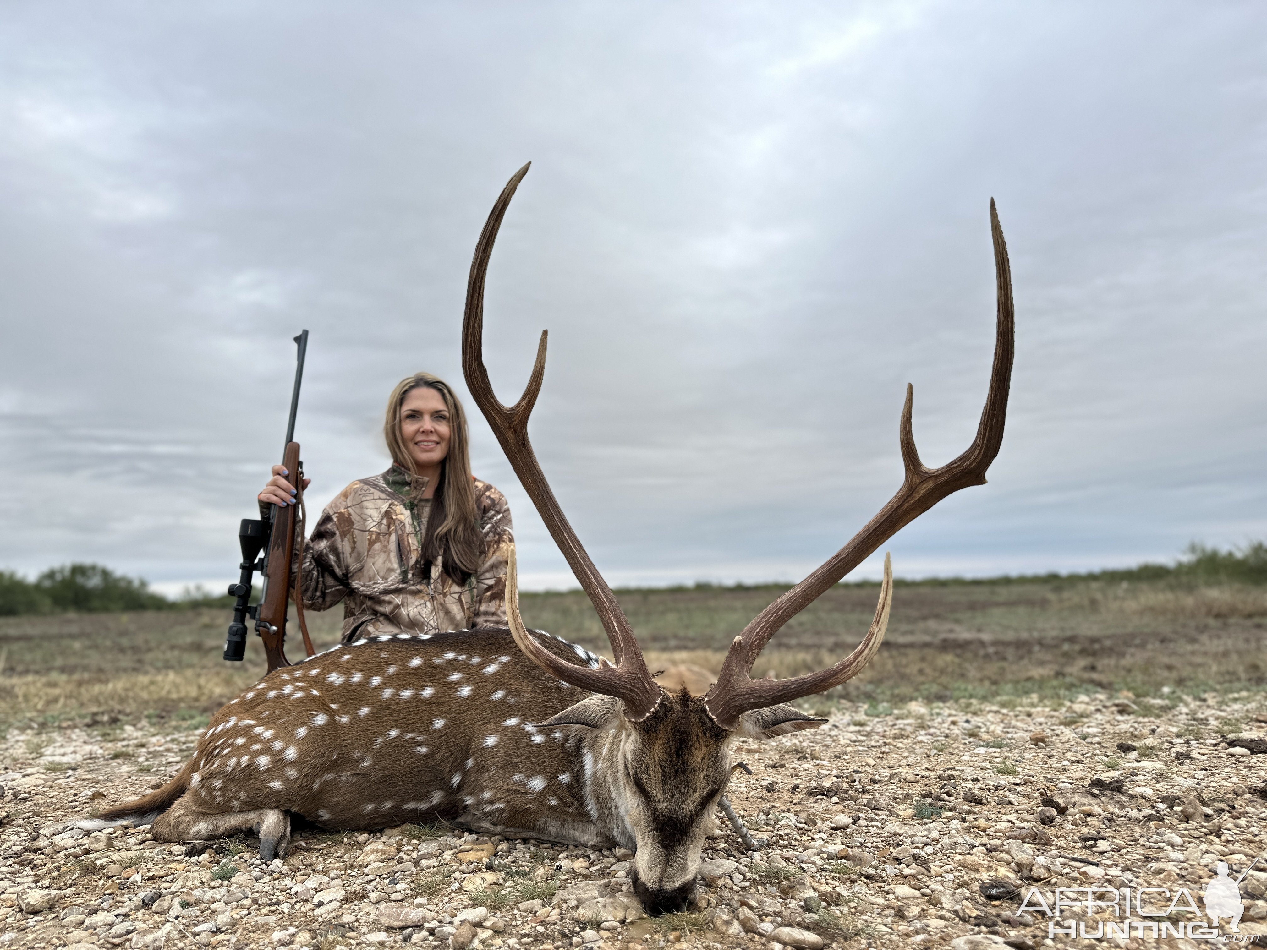 Hunting Axis Deer Texas