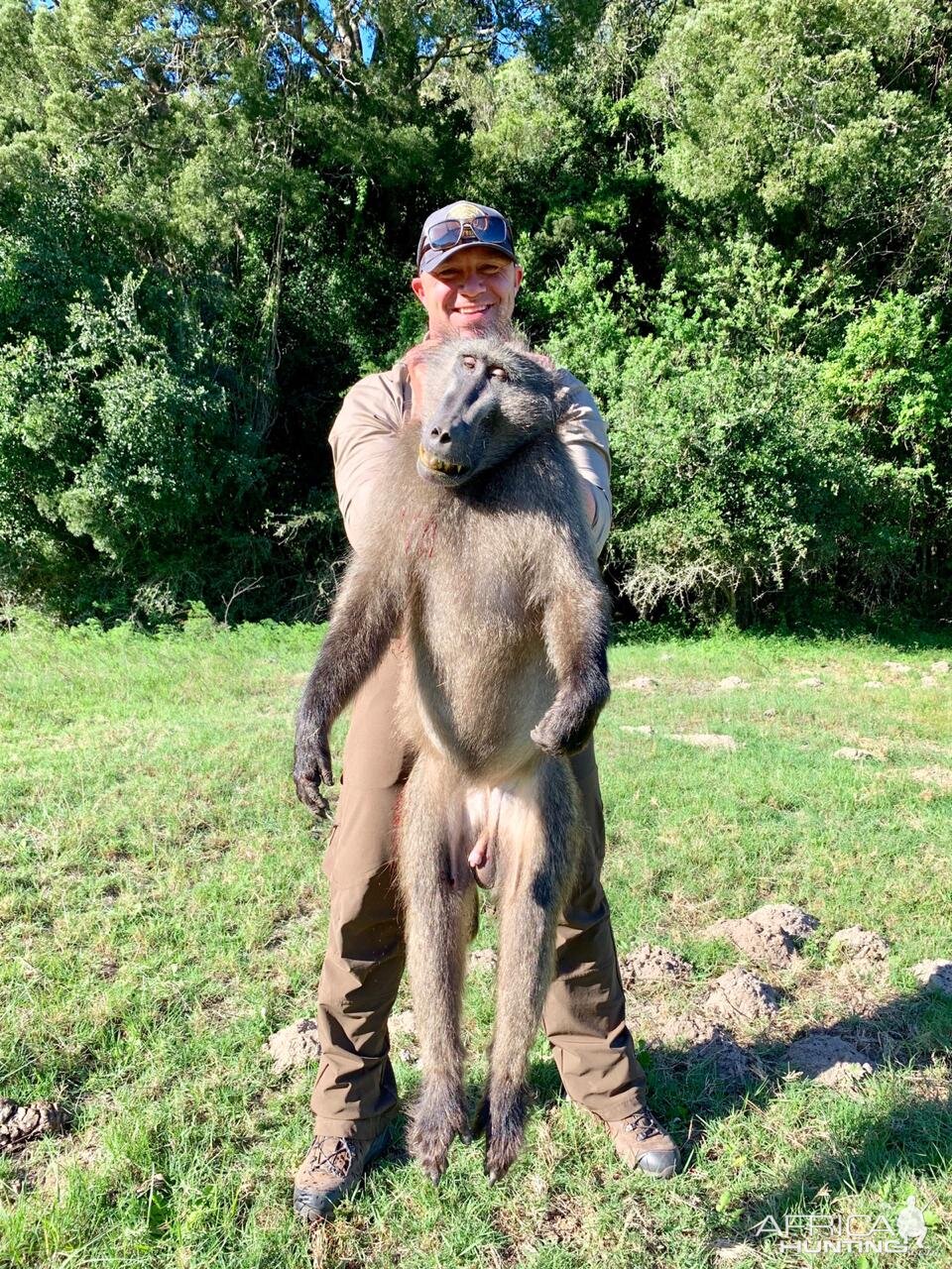 Hunting Baboon in South Africa