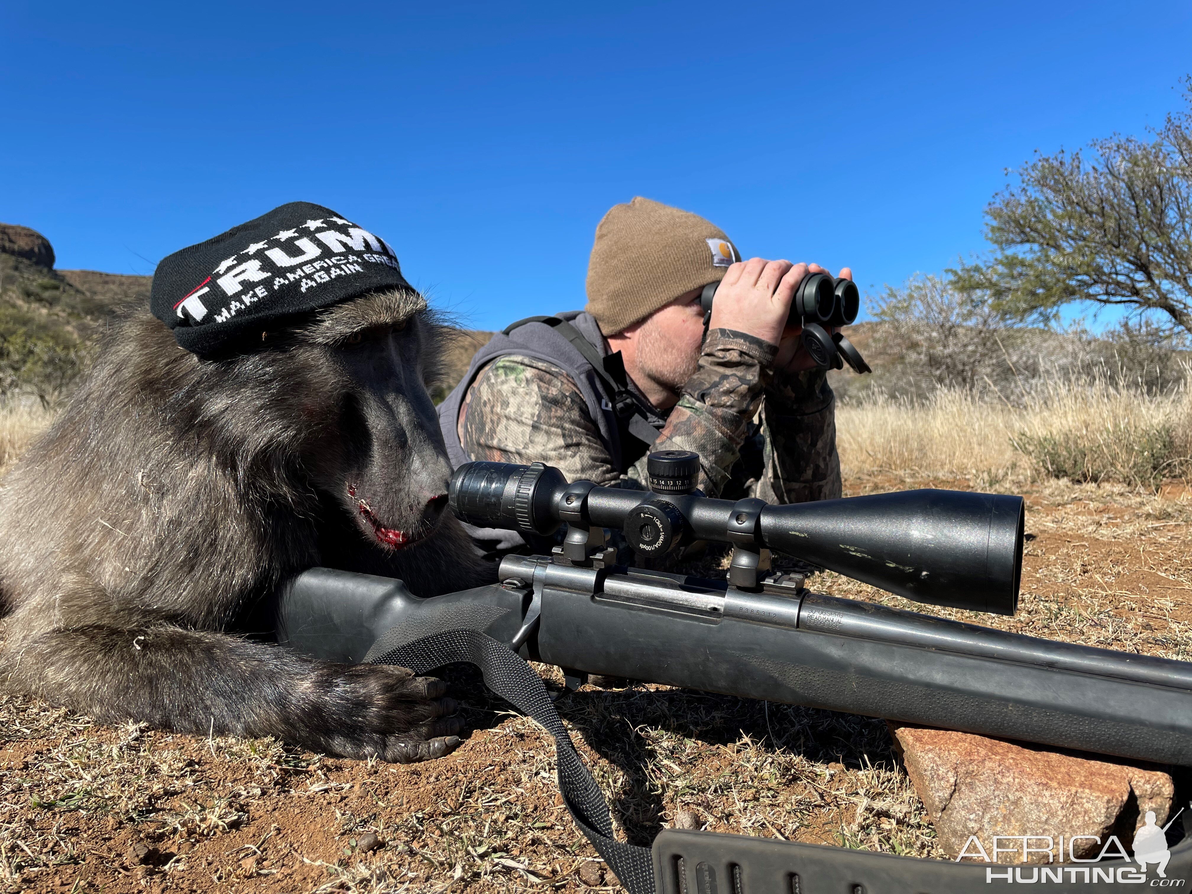 Hunting Baboon South Africa