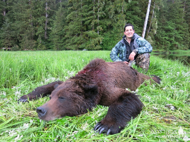 Hunting Bear