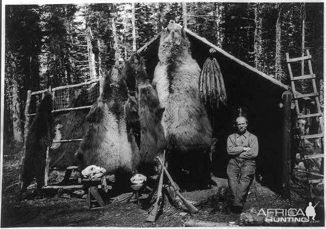 Hunting Bears Alaska.