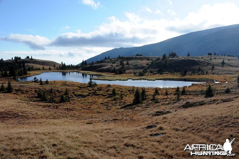 Hunting Big Horn Sheep in Southern British Columbia Canada