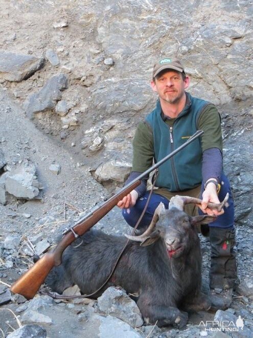 Hunting Billy Goat