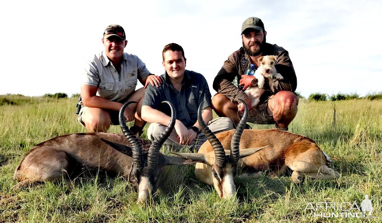 Hunting Black & Copper Springbok in South Africa